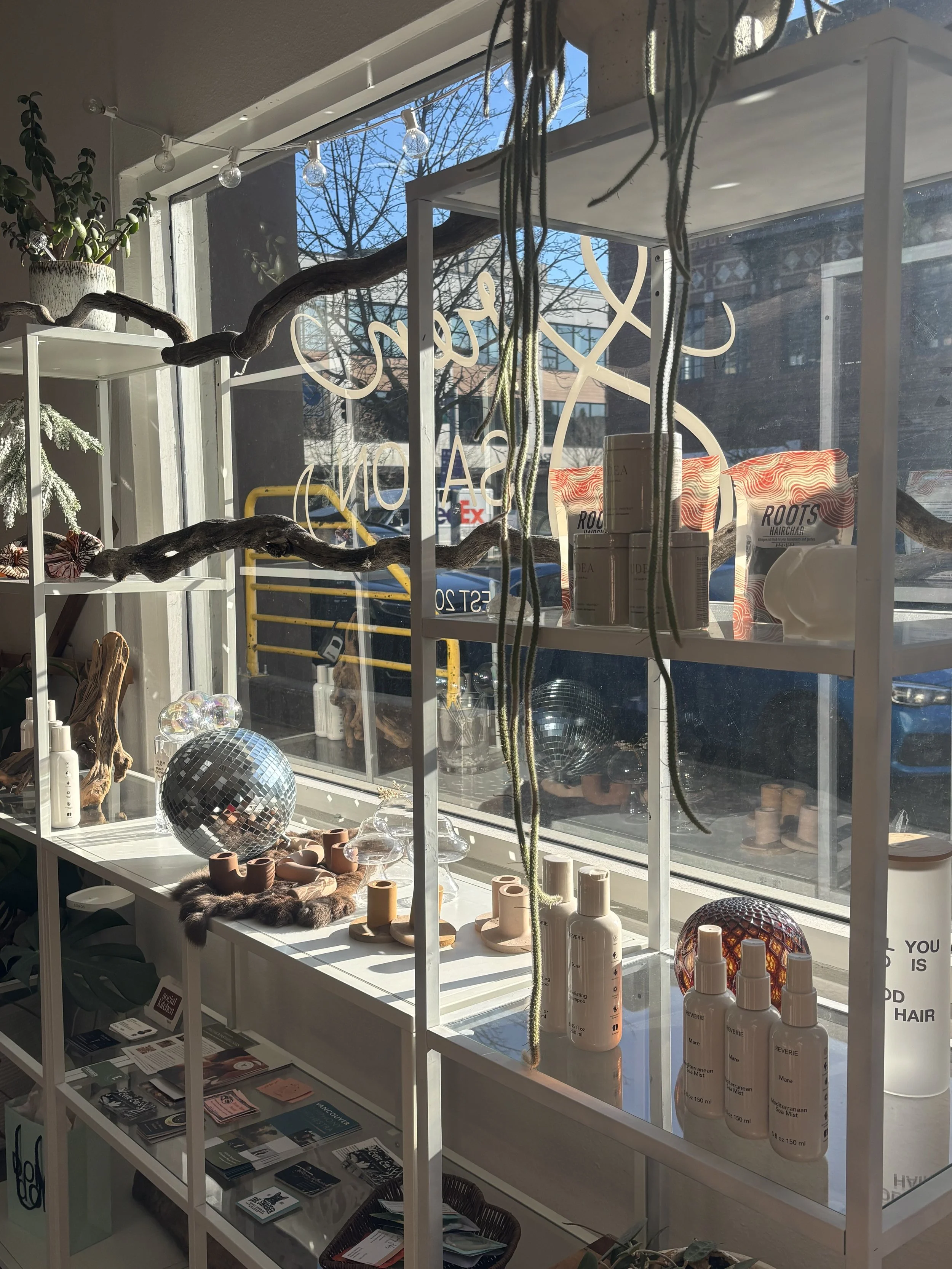 Display window with plants, decorative objects, cosmetic products, and a sign that reads 'Beauty Salon' with reflections of trees and parked cars outside.