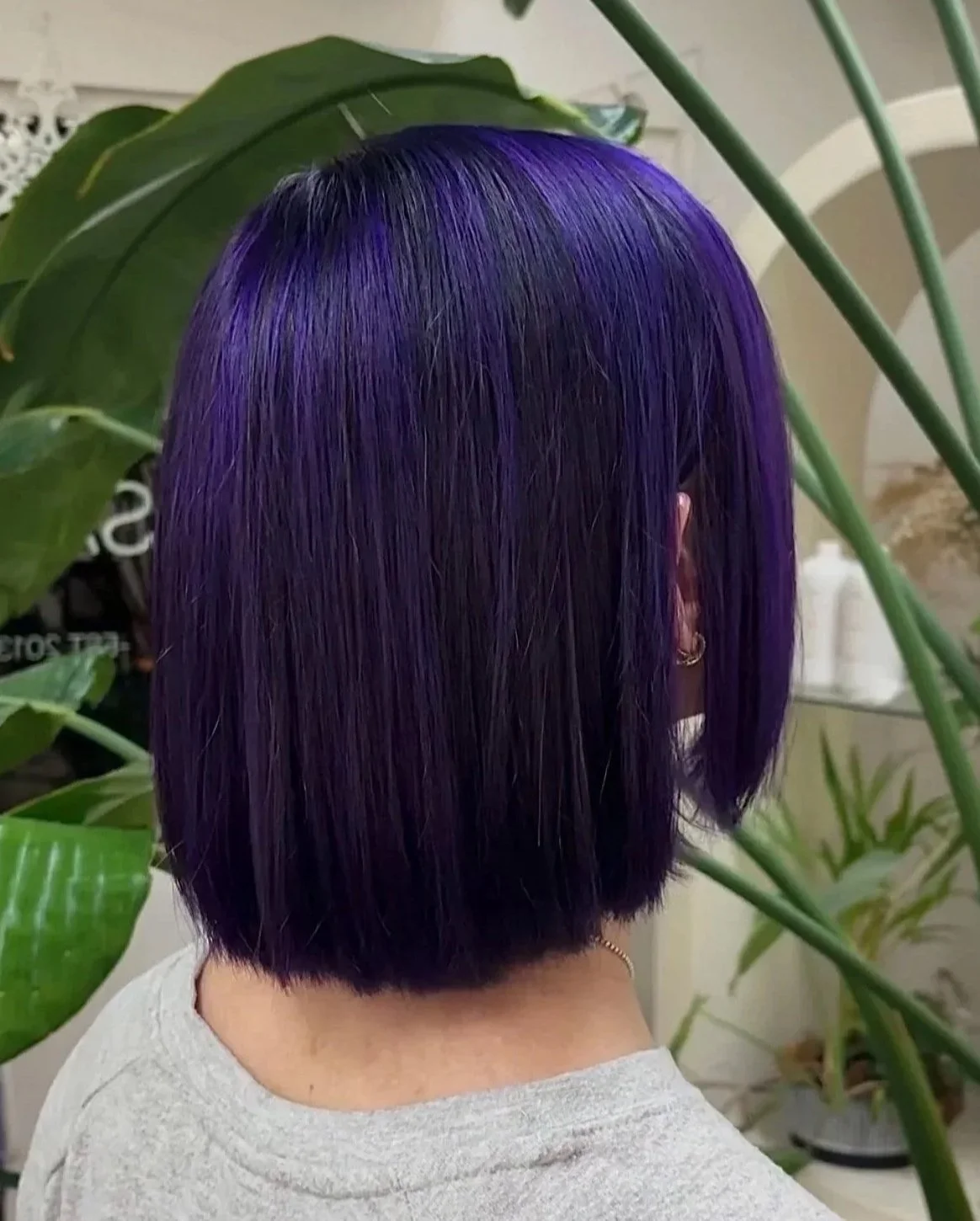 Person with straight, shoulder-length hair dyed in shades of purple and blue, standing indoors near green foliage.