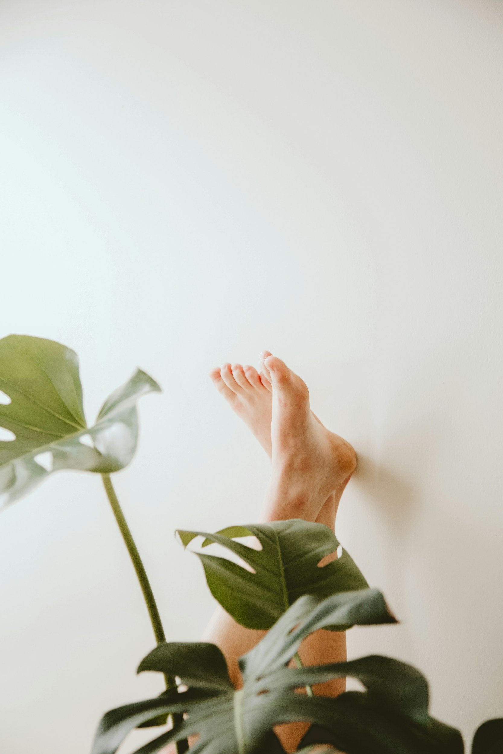 Bare feet extending from behind a Monstera plant against a white background.