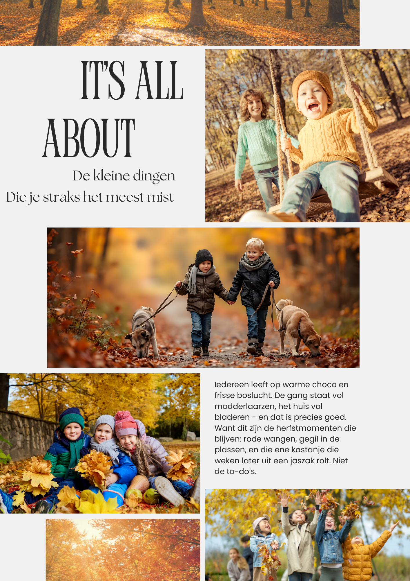 Kleine momenten die lijven - herinneringen die je hart bewaren