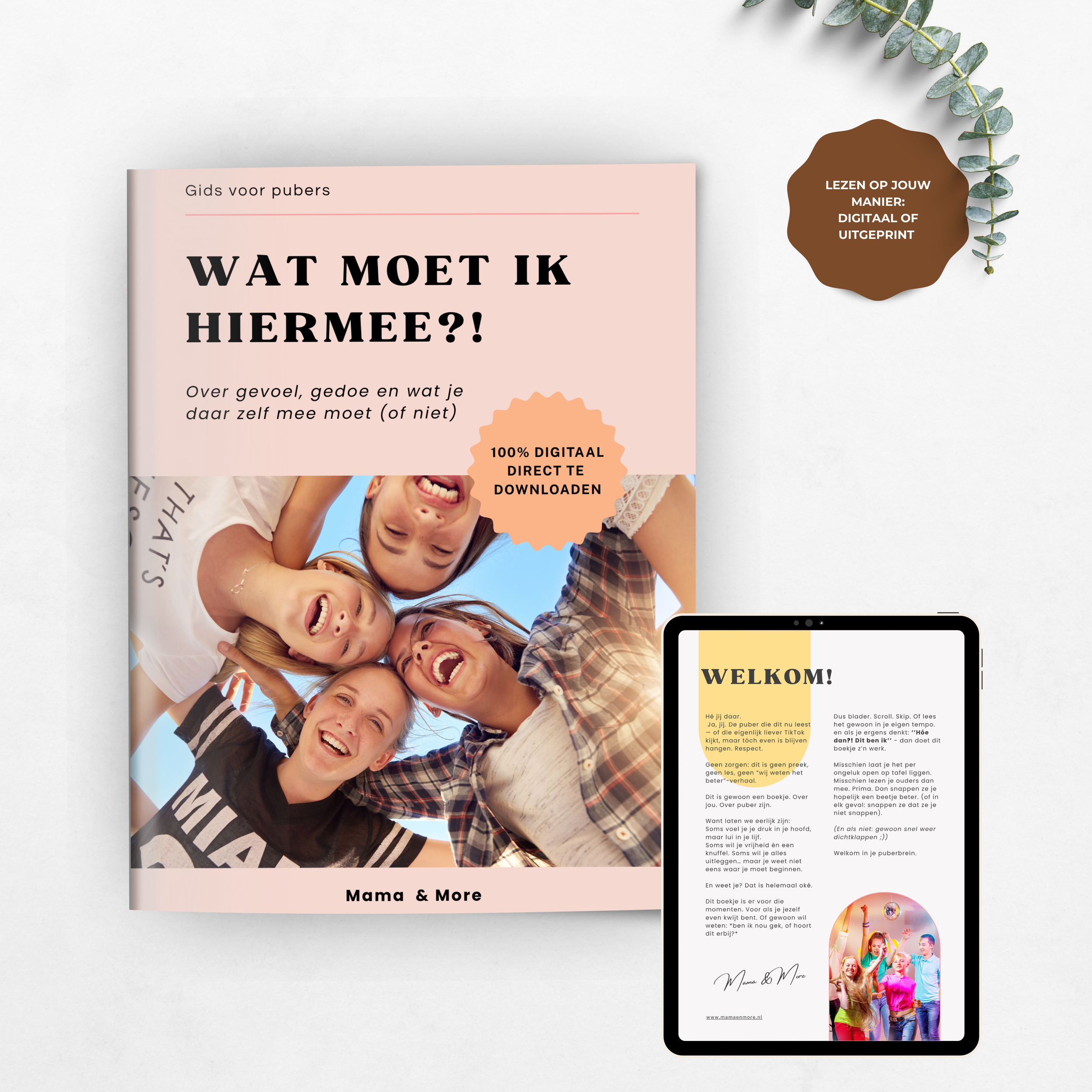 Hulpgids voor tieners - over gevoel, gedoe en wat je daar zelf mee moet