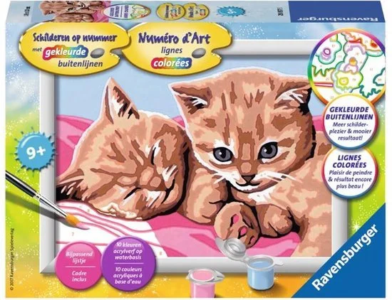 Schilderen op nummer poesjes vanaf 9 jaar