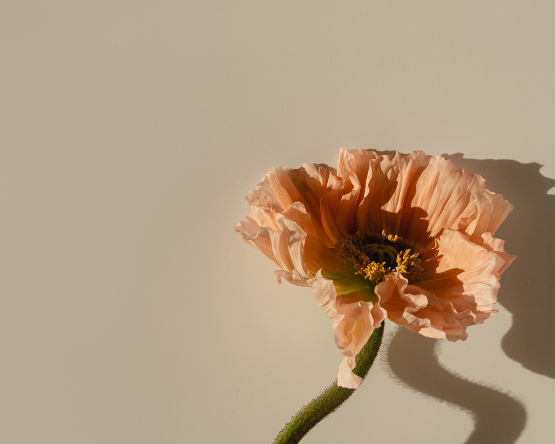 How Long Does It Take to Notice Health &amp; Nutrition Changes in Hormonal Disorders?