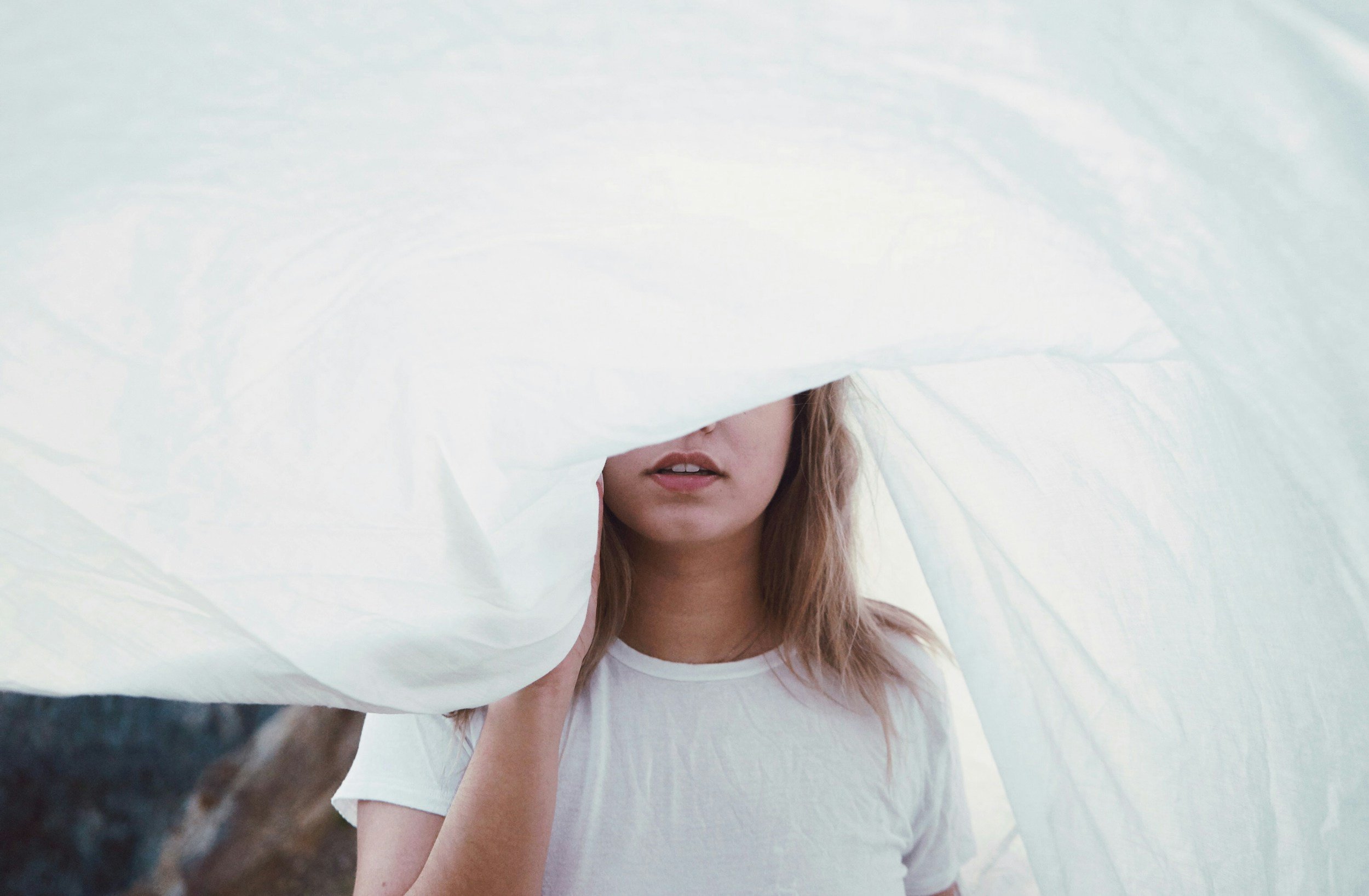 Unveiling Nest & North: A Personal Reinvention Venture (Part 1/2)