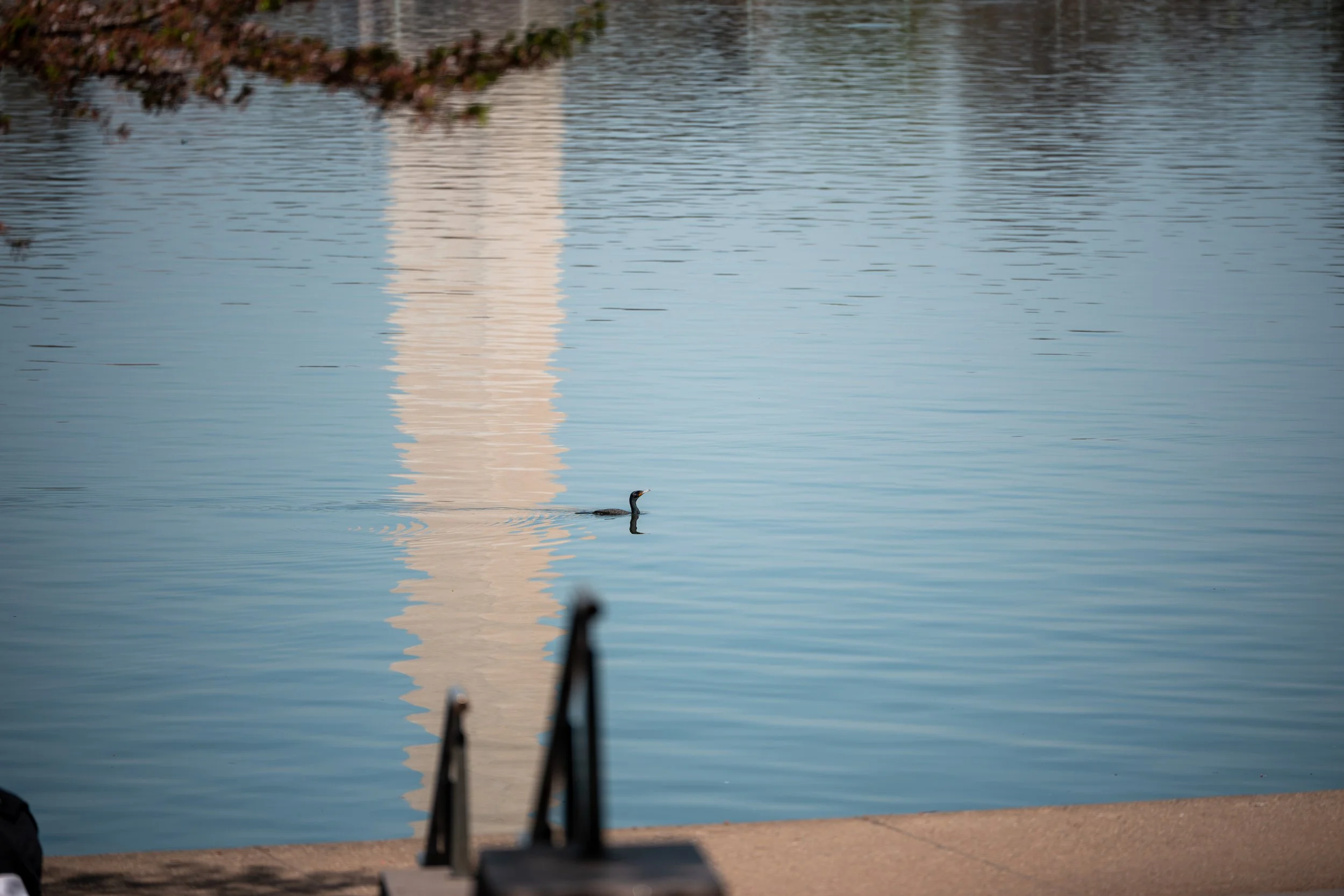 _DSC4320-Enhanced-NR.jpg