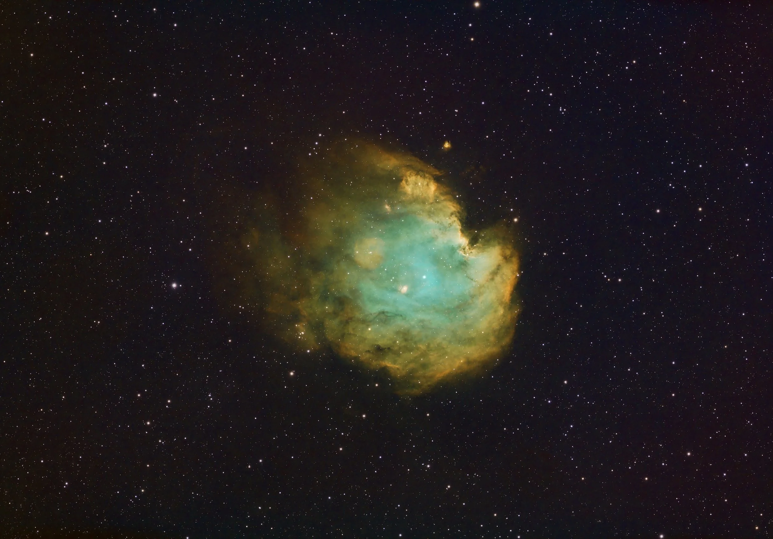 NGC 2175 - Monkey Head Nebula.jpg