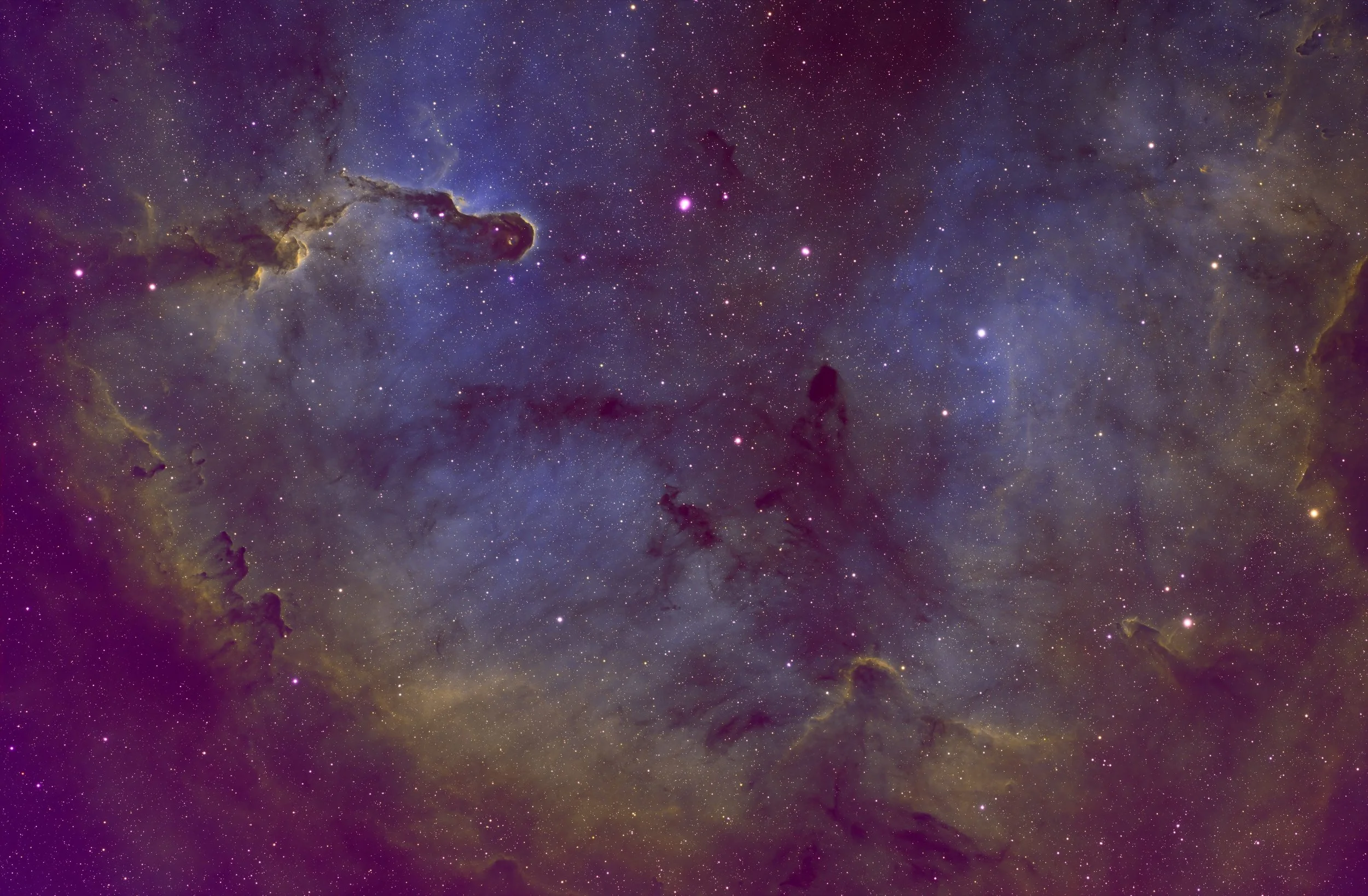 Elephant Trunk Nebula August 2025.jpg