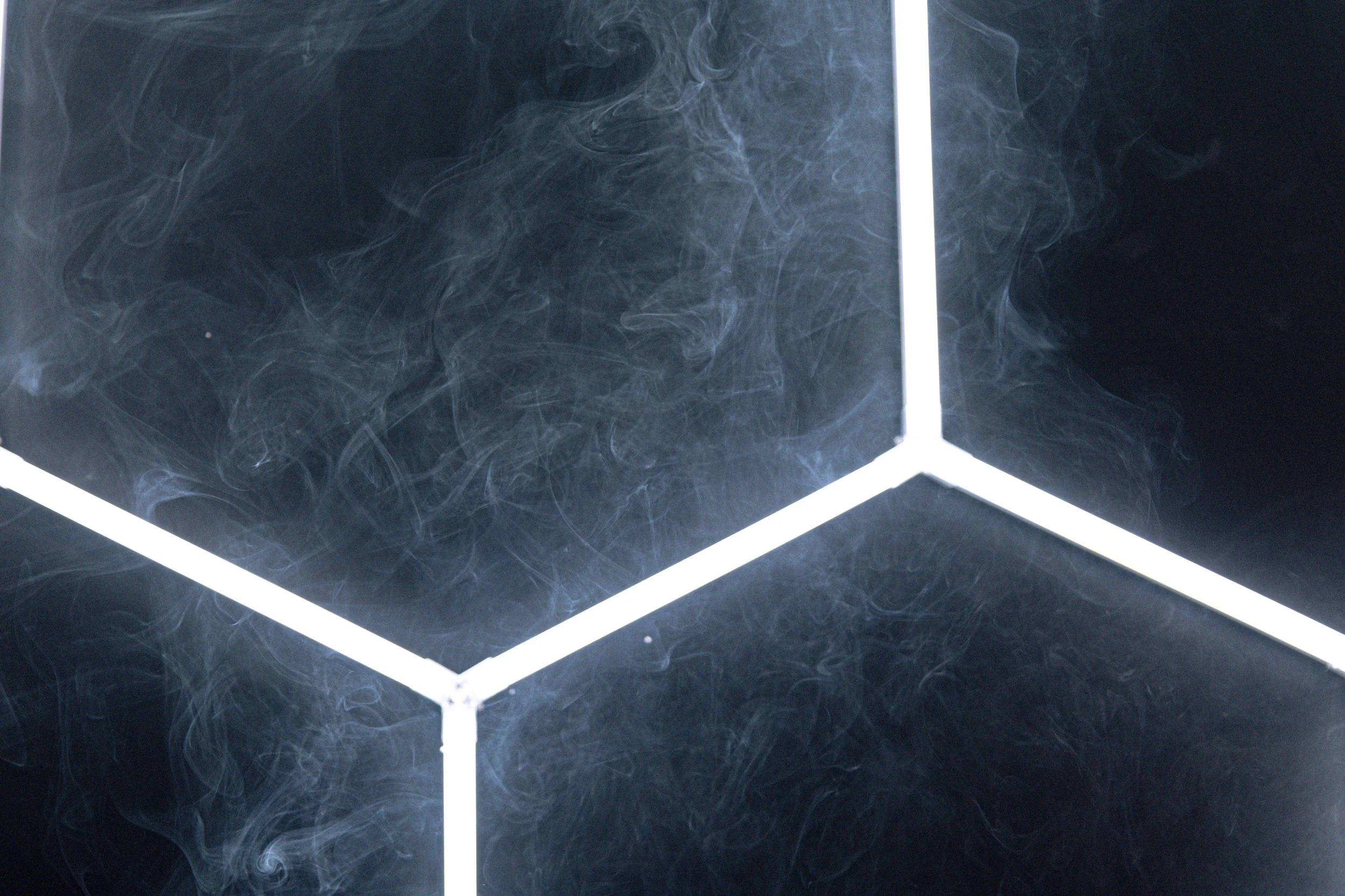 Black and white portrait of a young person holding a Canon camera, looking directly at the camera with a serious expression.