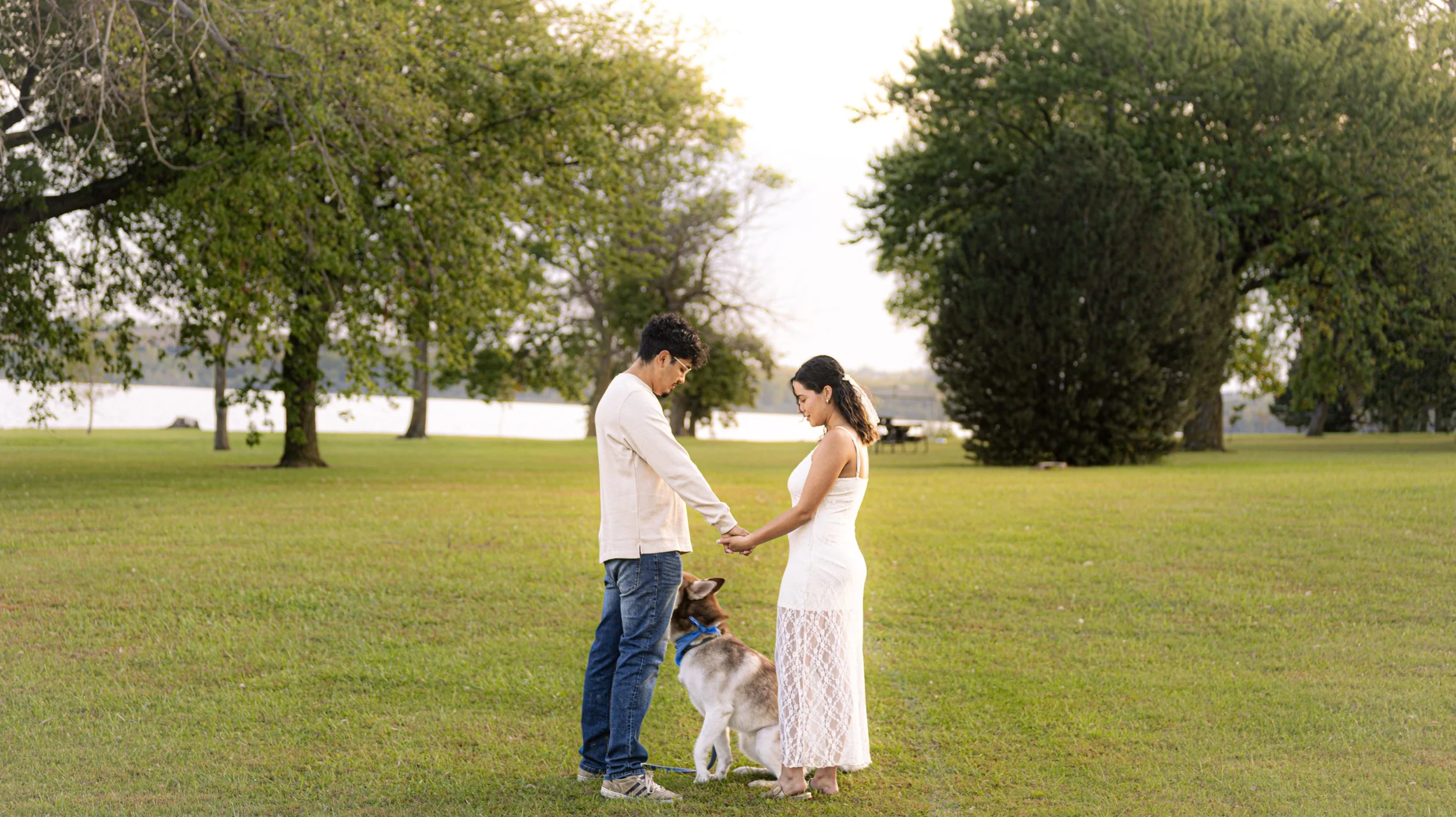 A couple holding hands with a dog in a park near a lake, trees in the background, during sunset.