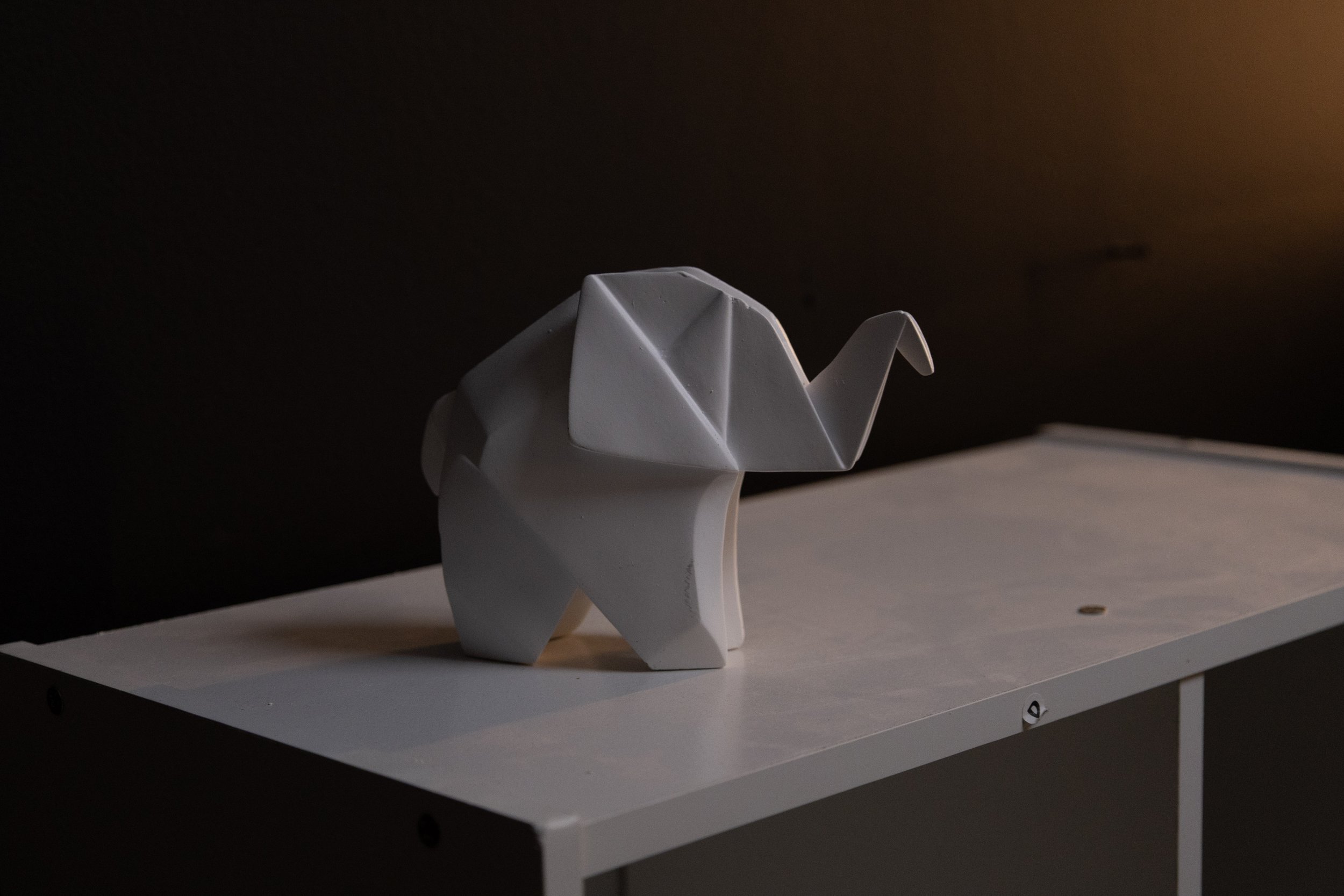 Black and white portrait of a young person holding a Canon camera, looking directly at the camera with a serious expression.