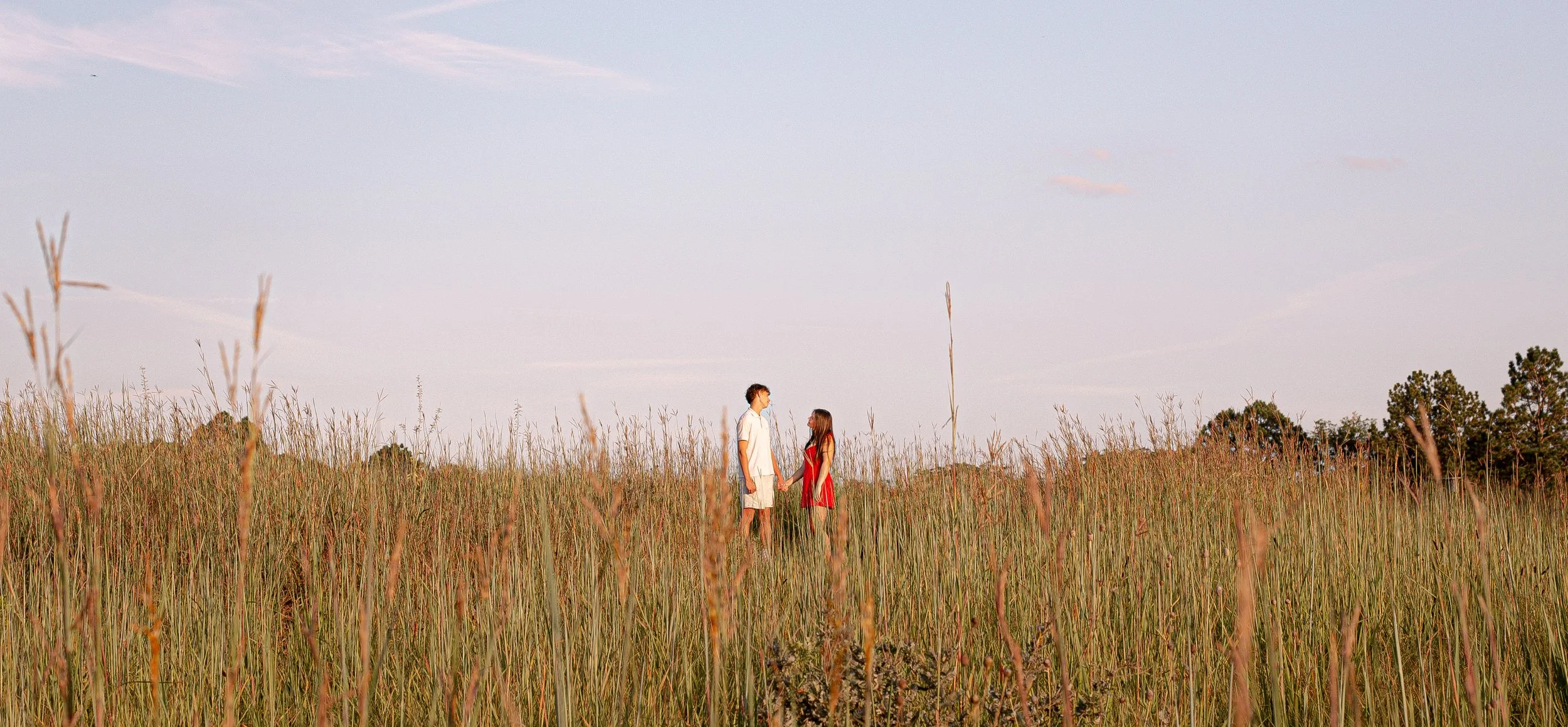 A young couple holding hands in a tall grass field under a light blue sky with few clouds, trees in the background.