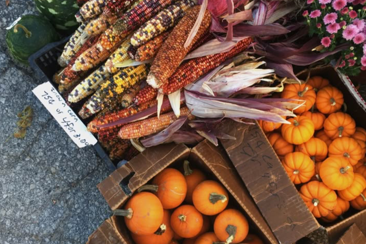 Eating in Rhythm with the Seasons