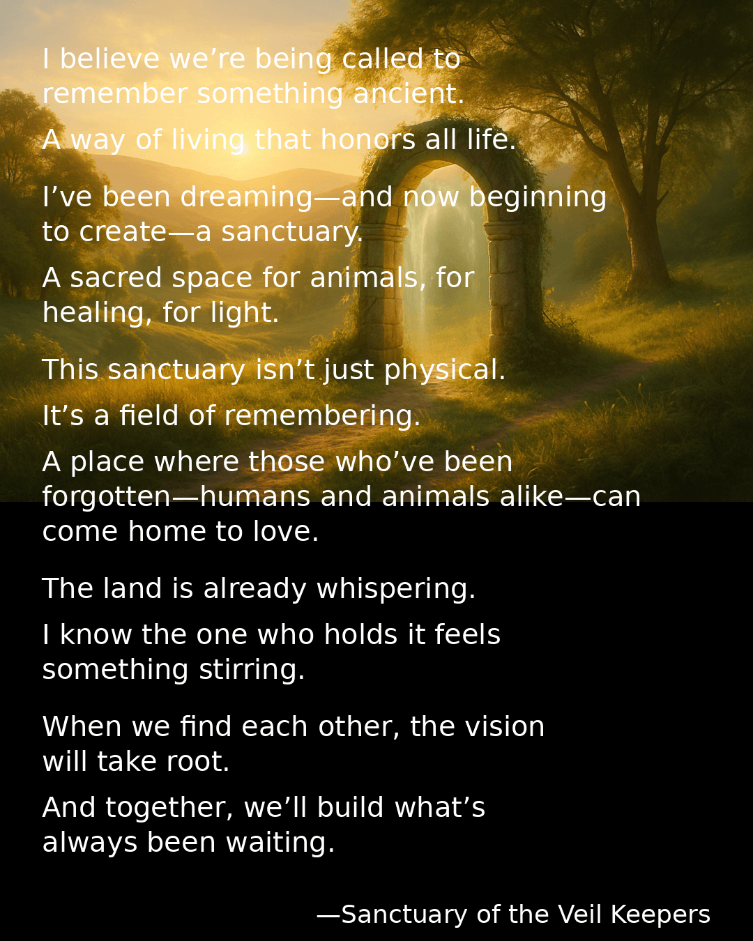 IMG_3739.PNG