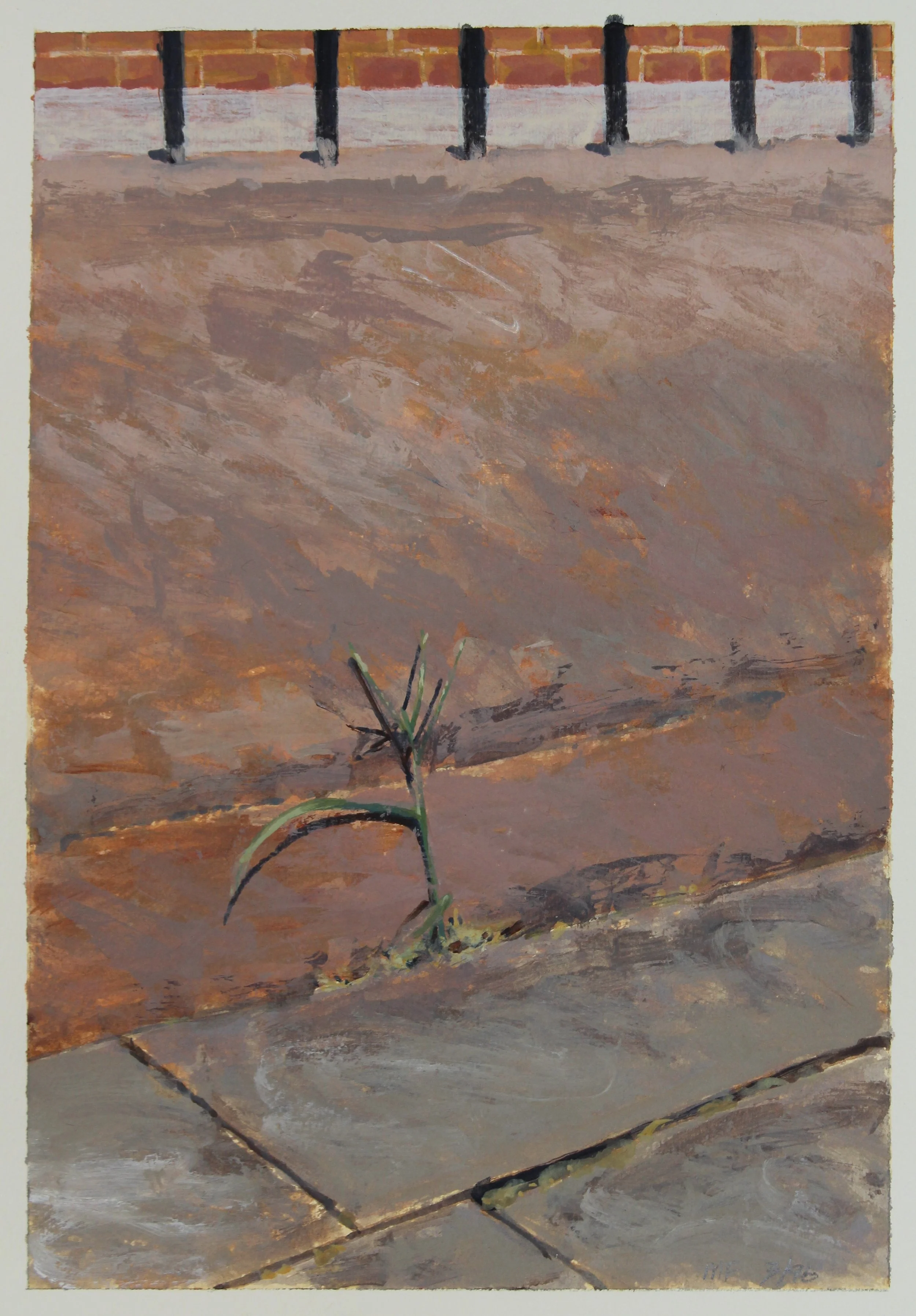 Grass on Edge | 03/1996