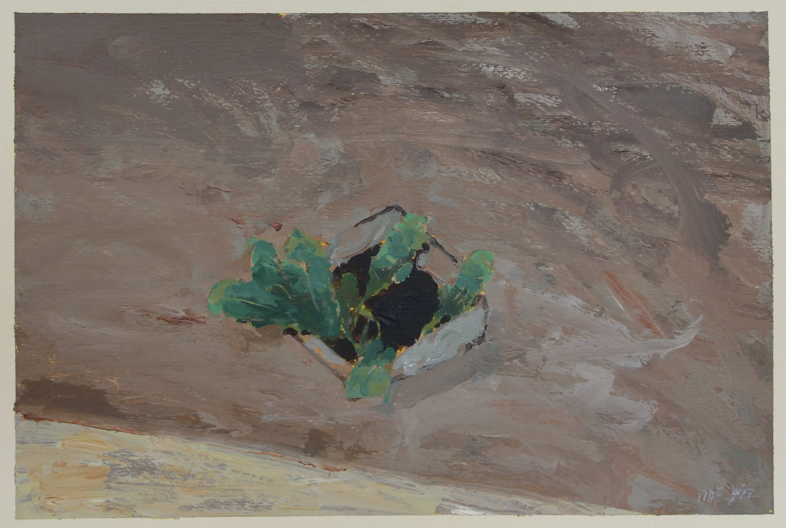 Box Of Dandelion Greens | 2/1999