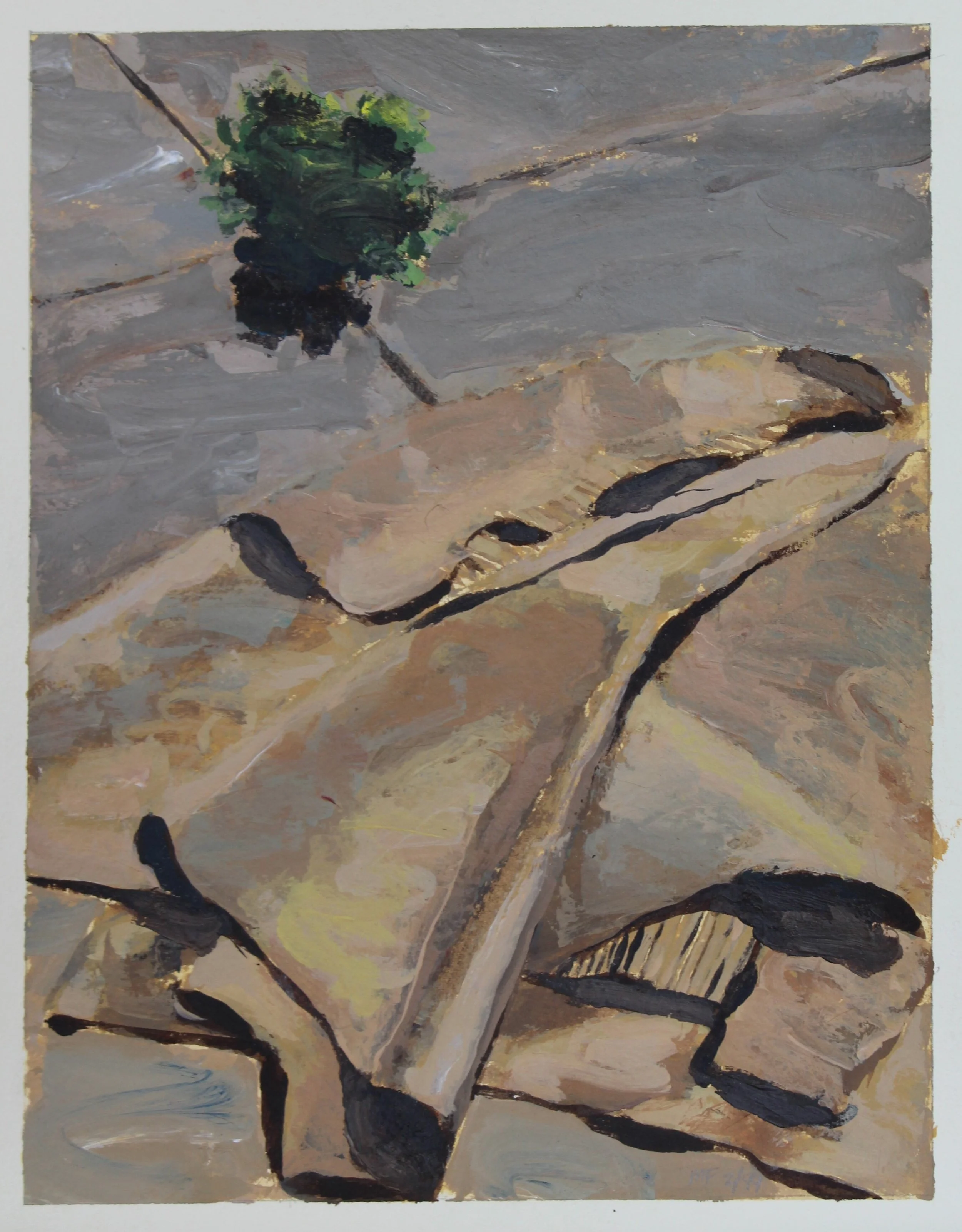  Green in the Quadrant | 2/1999