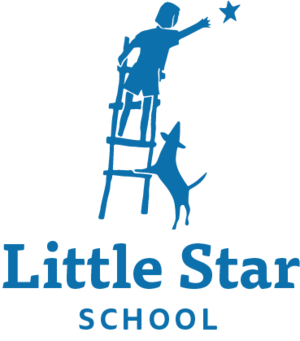 little+star.png