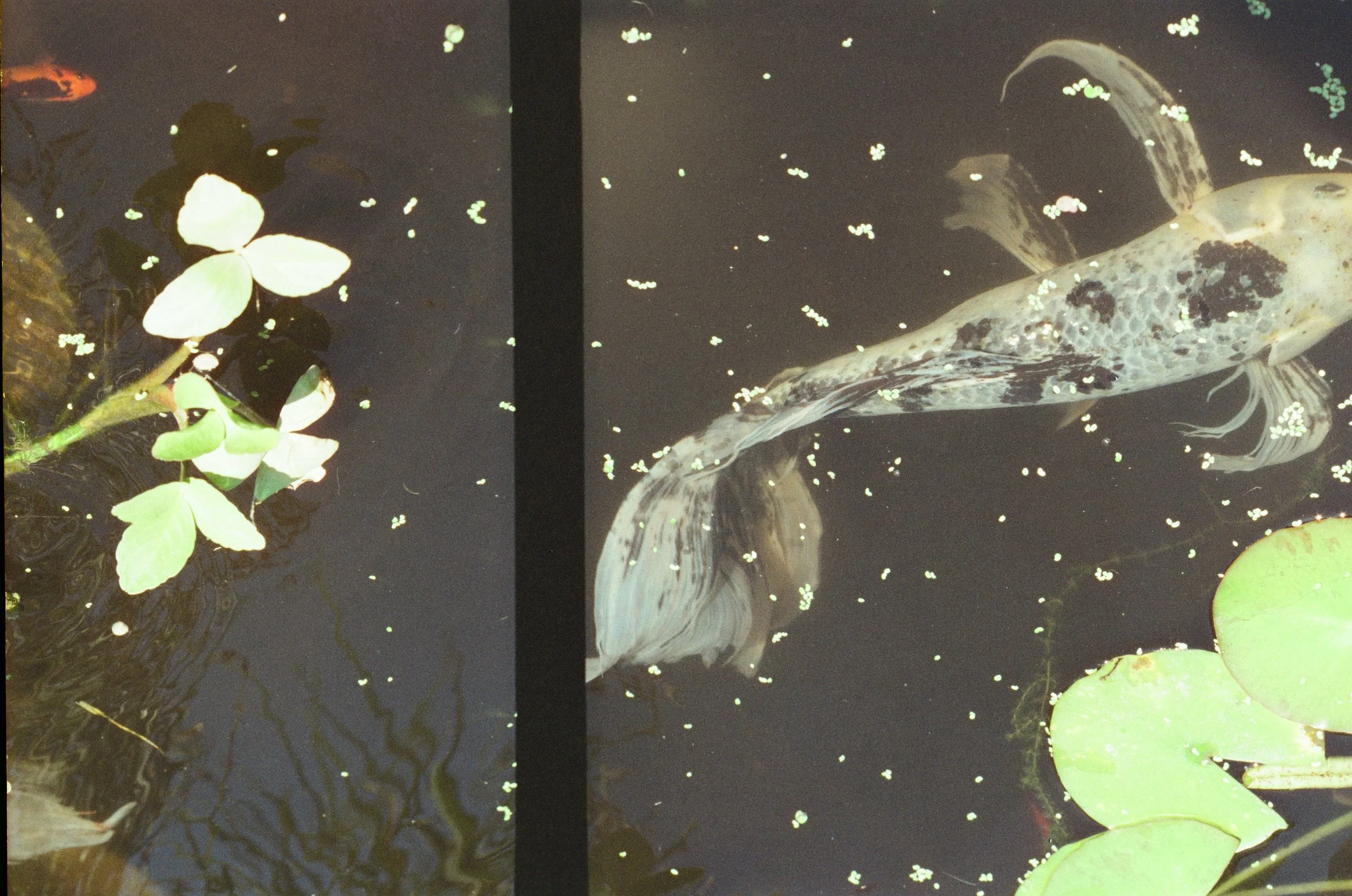 2026 winter artist retreat