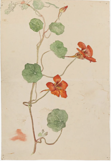 Screenshot 2025-10-30 at 6.32.53 PM.png