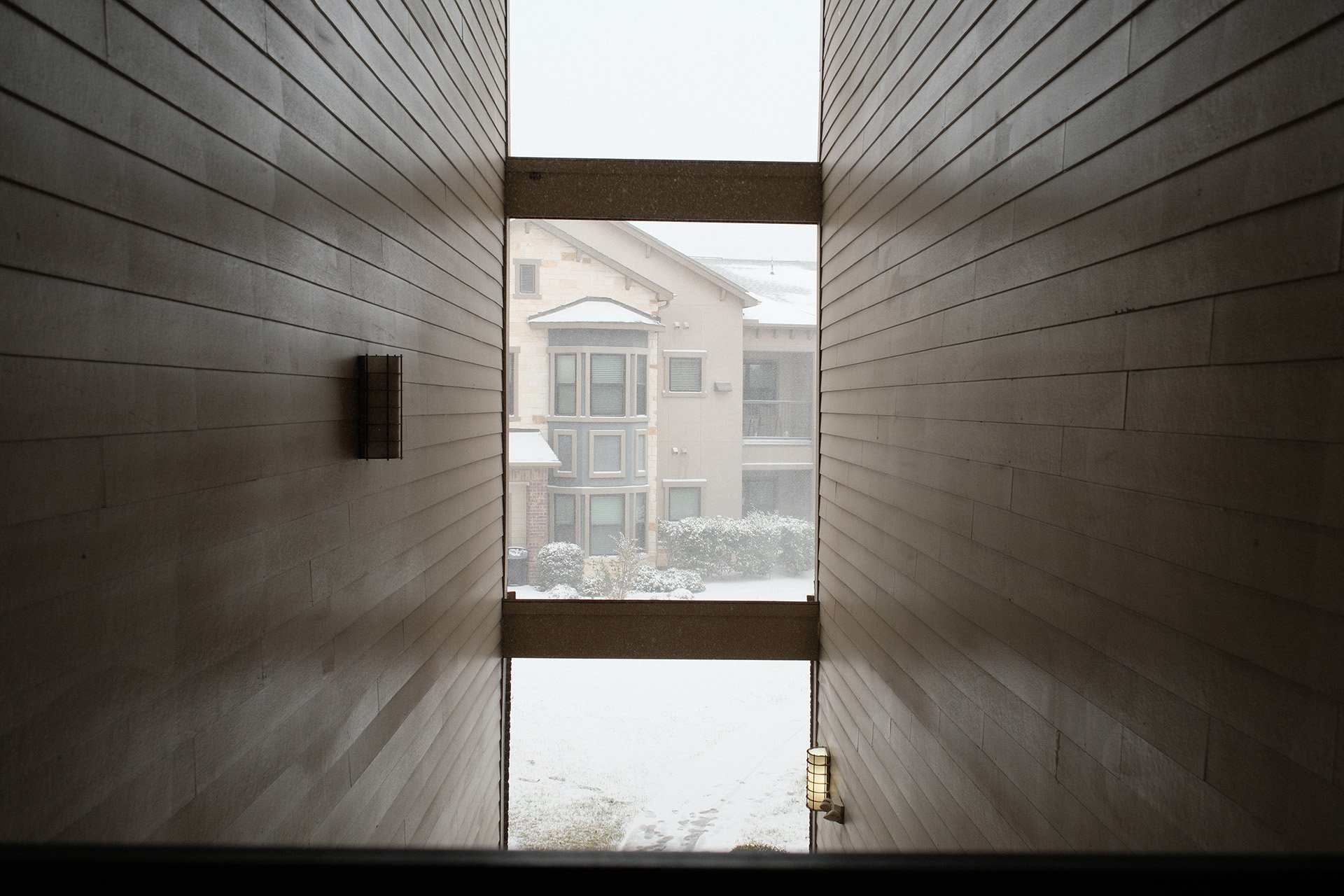 Blog 2025-2 Snow in Houston Gallery 3.jpg
