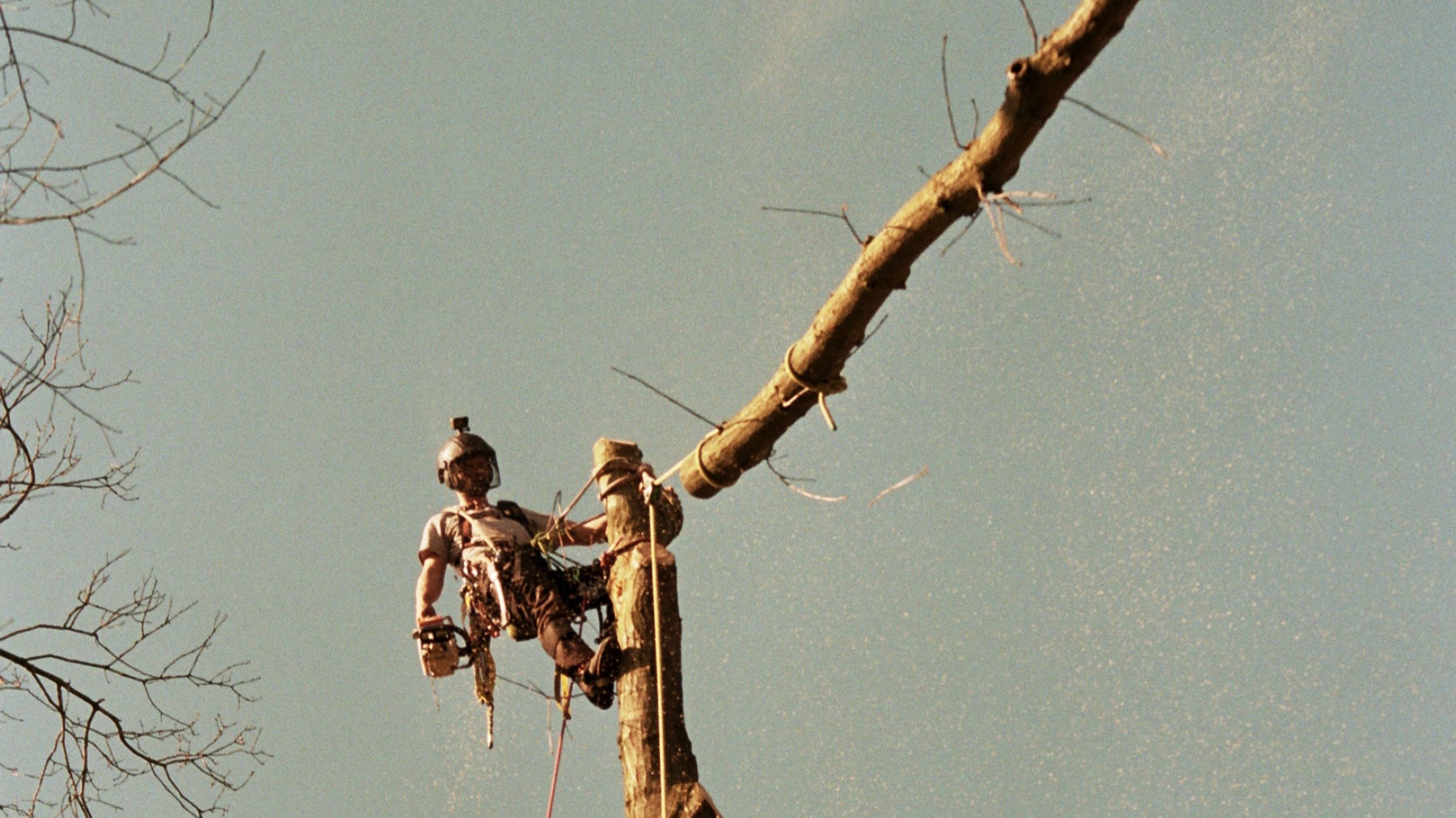 28A_2136 4.jpg