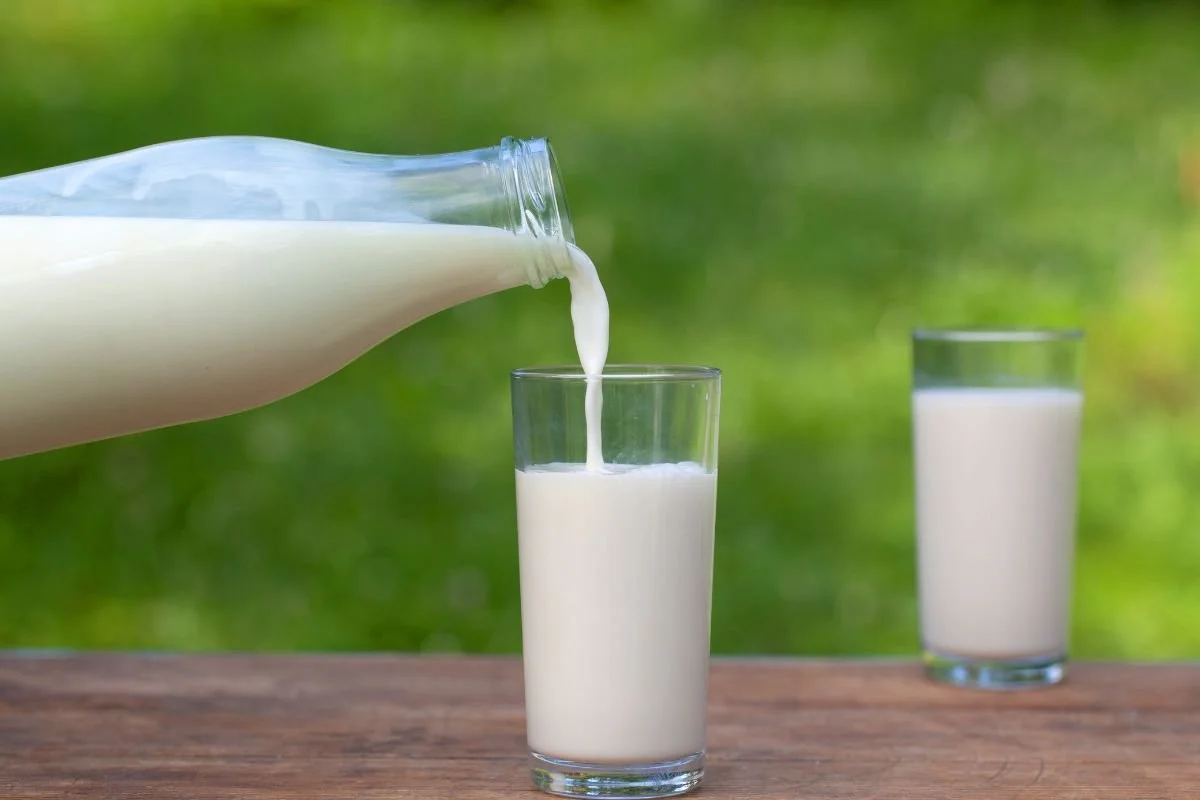 Understanding Different Types of Milk: How to Choose What Works for Your Family