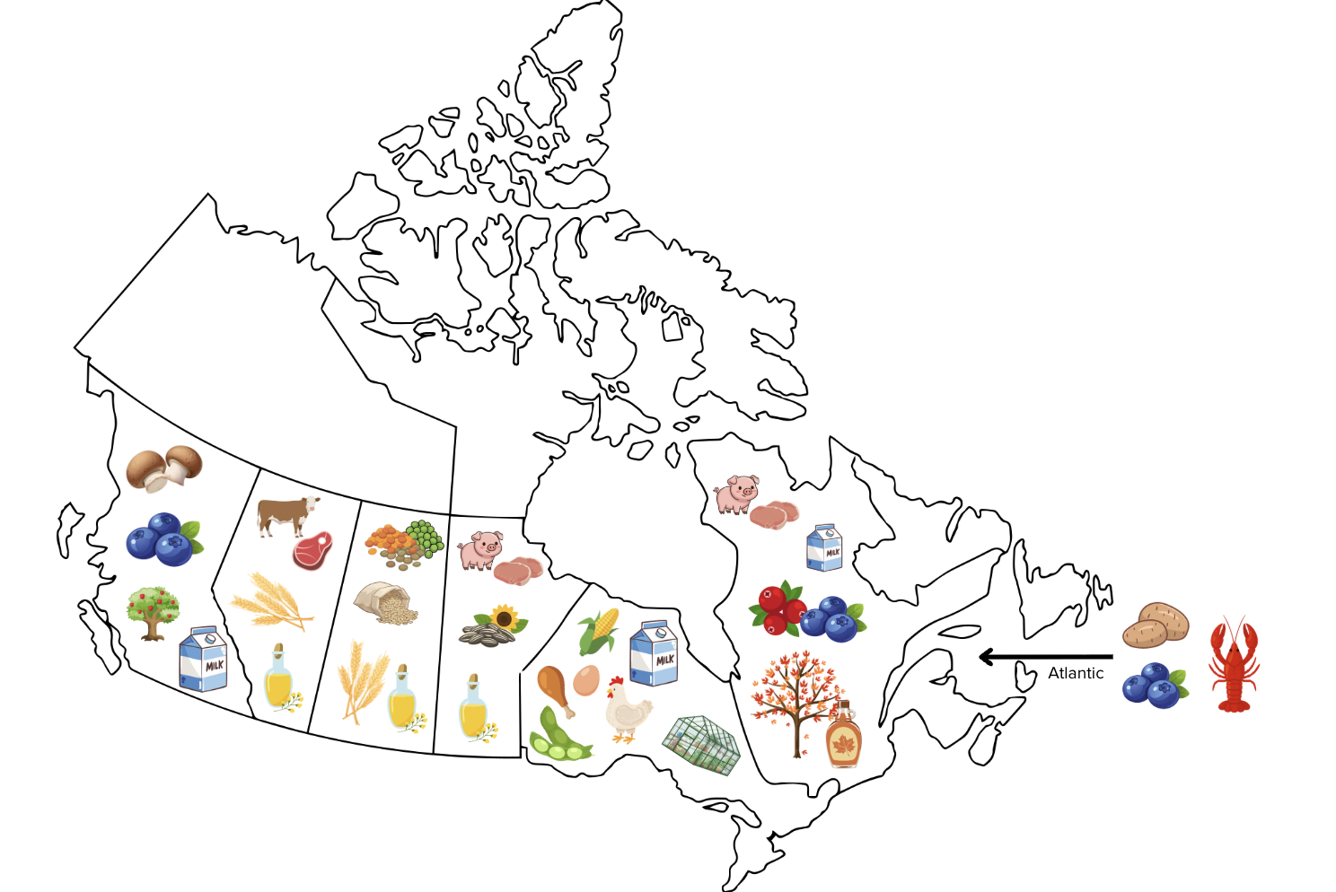 Eating Local in Canada: A Parent’s Guide to Season Eating
