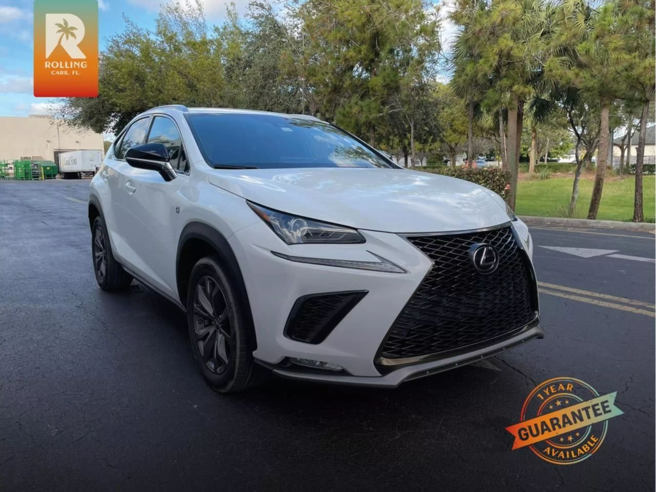 2020 Lexus NX 300 F SPORT SUV 4D