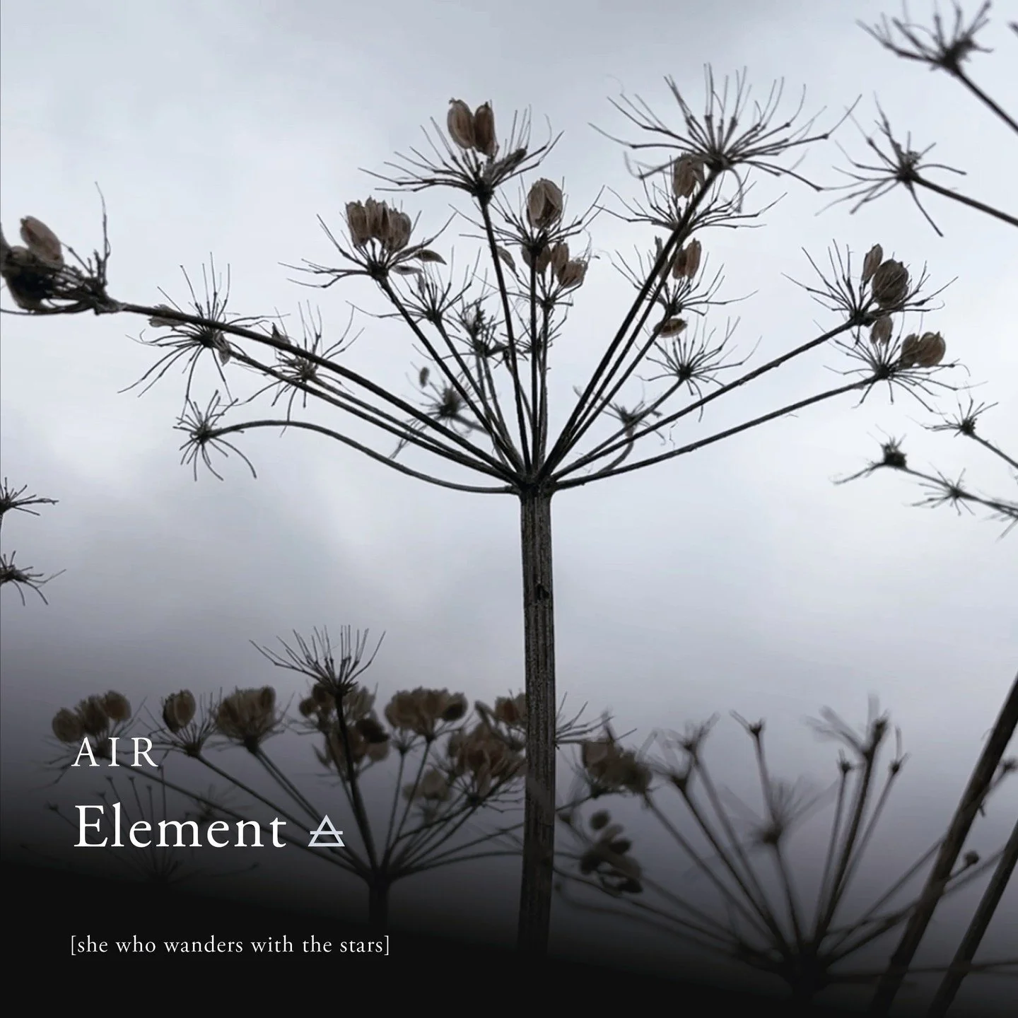 So I was out walking today - great to get some air and pondered the elemental air signs. Air is our breath, it is what we breathe, it is how we speak, it is communication. Ideas are born from the air. The air is changeable - it is a mild breeze or a 