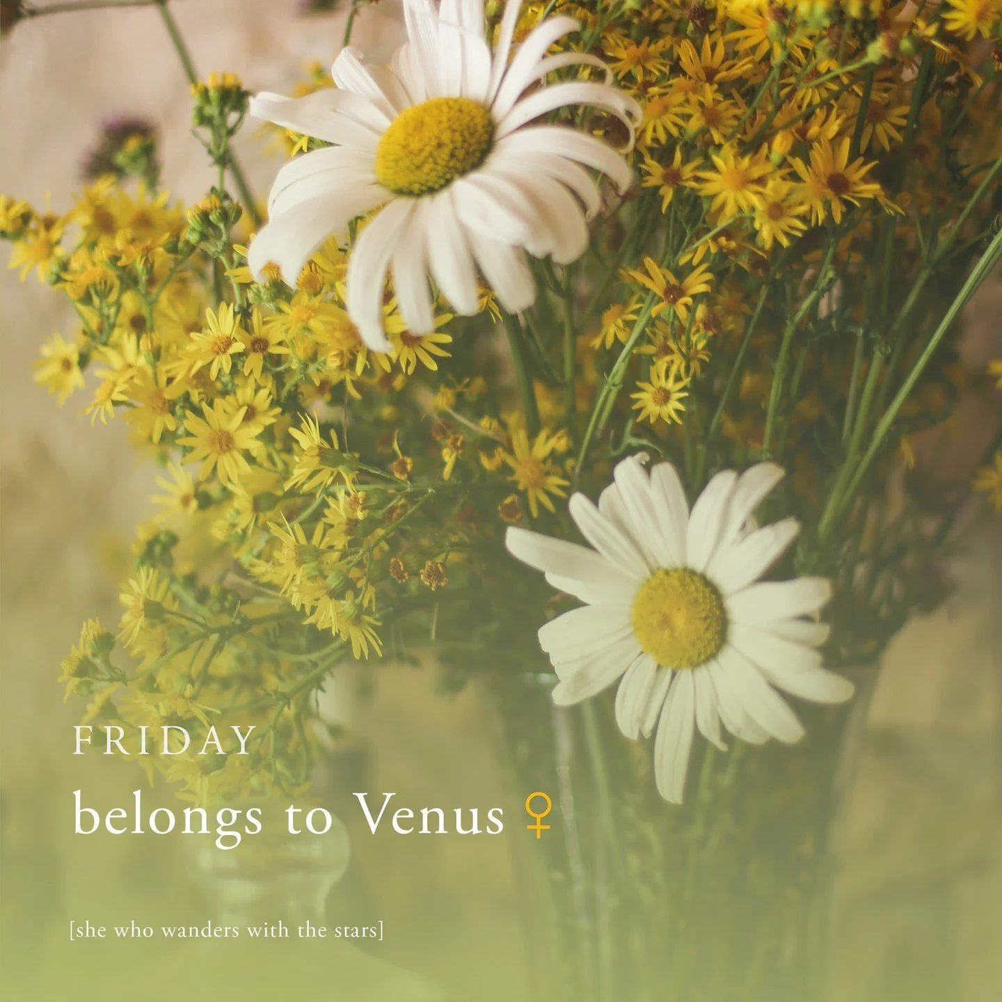 Friday belongs to the temple of Venus

Venus is love, sensuality, beauty, aesthetic, desire and earthly delights. It&rsquo;s a day to really look at self care - maybe a trip to the hairdressers is in order or buy yourself some flowers and add some be