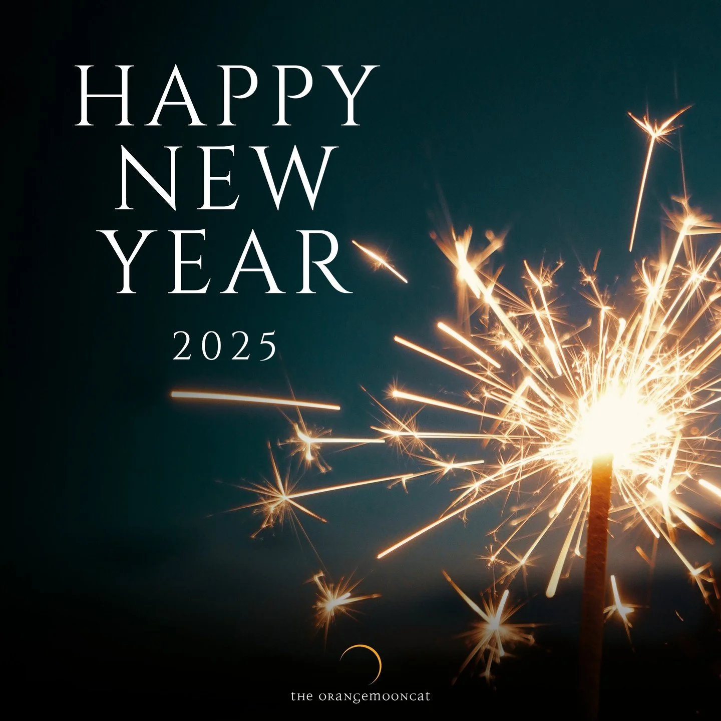 Wishing you all a Happy New Year! 🌟

Thank you all for the follows, likes, comments and support. May your new year be filled with magical sparkles ✨. Remember we are still in the New Moon 🌚 manifesting window so there is time yet to sit and just be