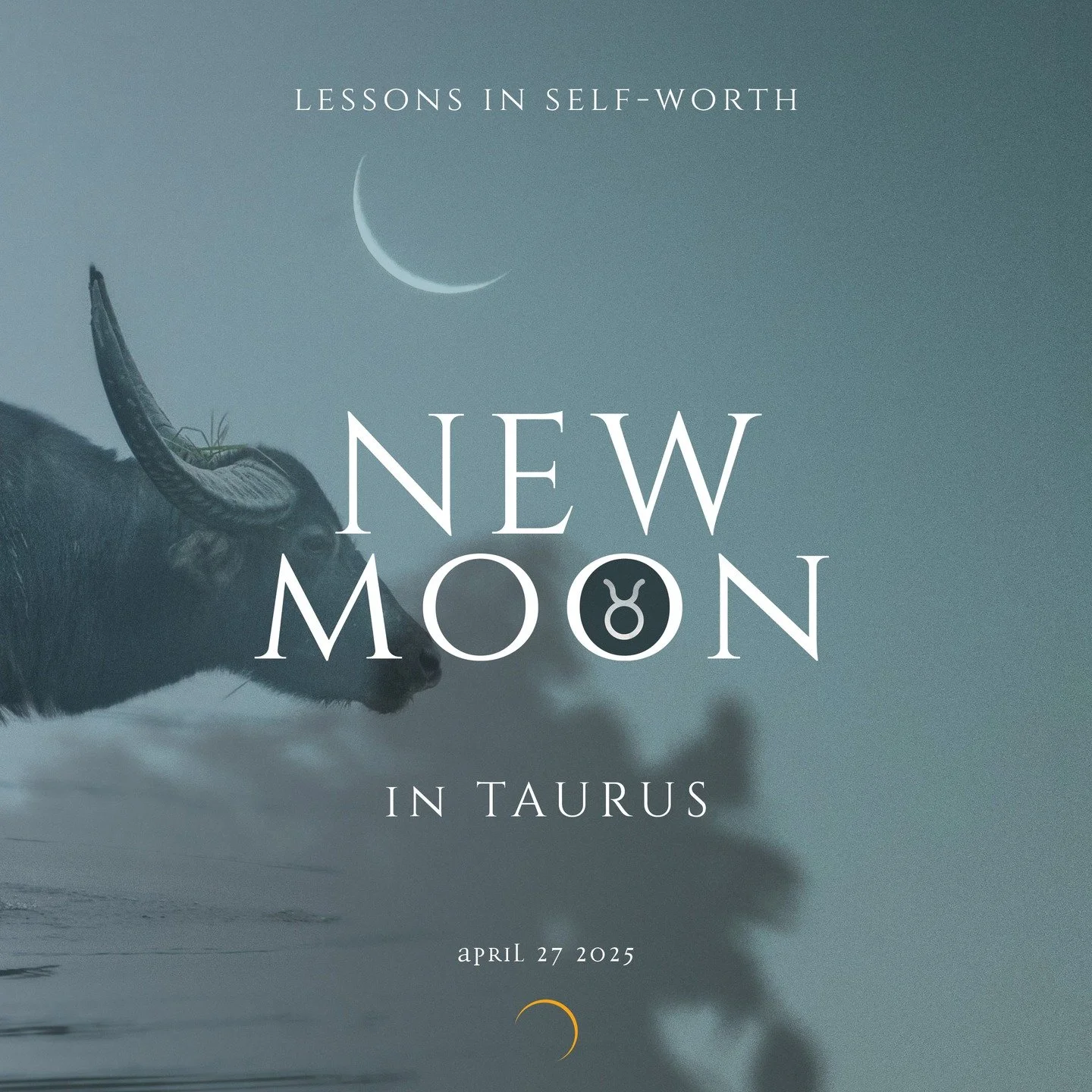 Happy New Moon in Taurus 🌚 🐂 ♉︎

Today, an exalted moon rises in the sky. A quiet whisper reminding us of the value of self-worth, self-love love and personal power. The moon is exalted in Taurus as the moon is our emotion and the way we feel secur
