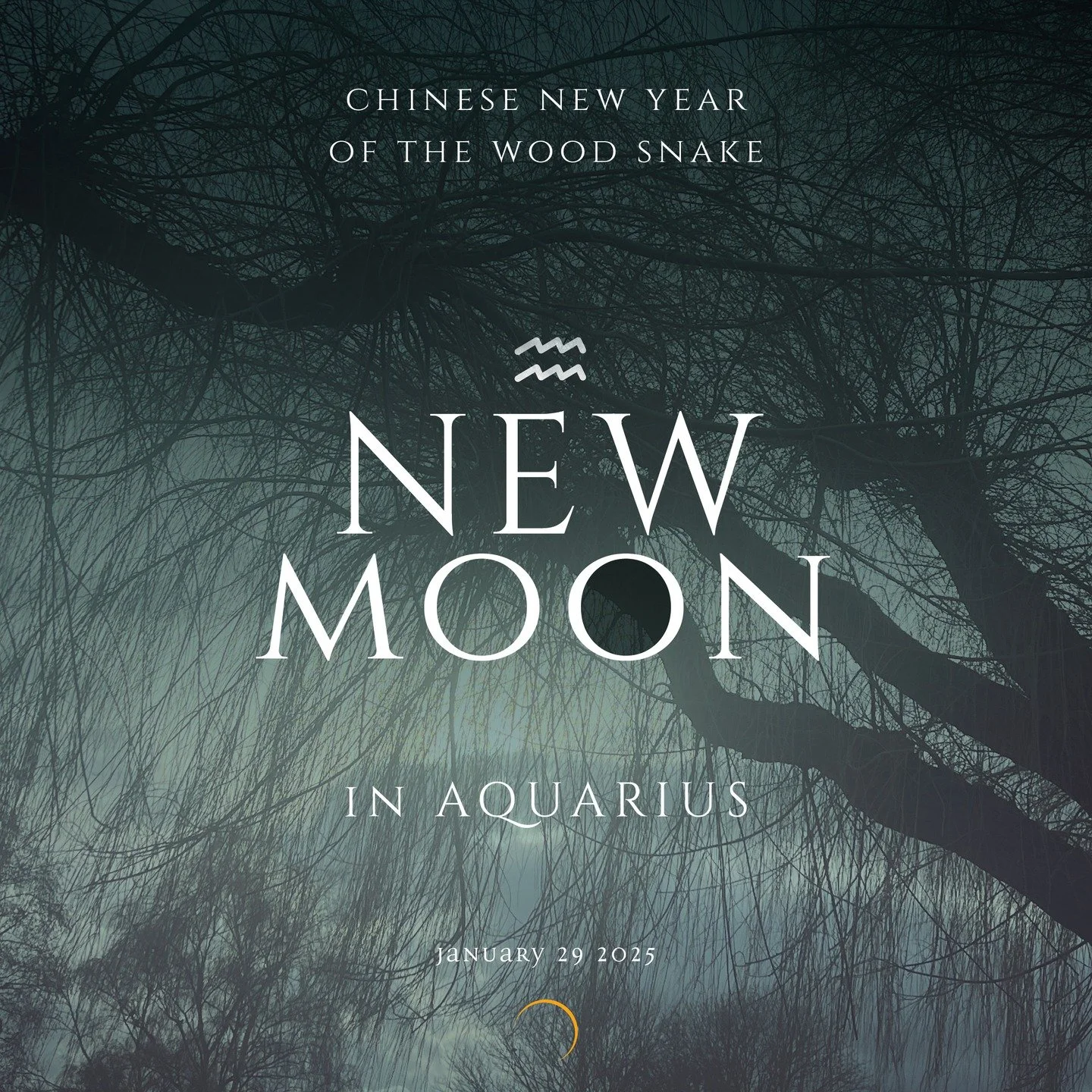 It's a new dawn
It's a new day
It's a new life for me, yeah
It's a new dawn
It's a new day
It's a new life for me, ooh
And I'm feeling good&hellip;
Nina Simone

Happy New Moon in Aquarius and Happy Chinese New Year. 🌚

The Chinese New Year follows t