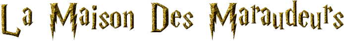 Titre de votre site