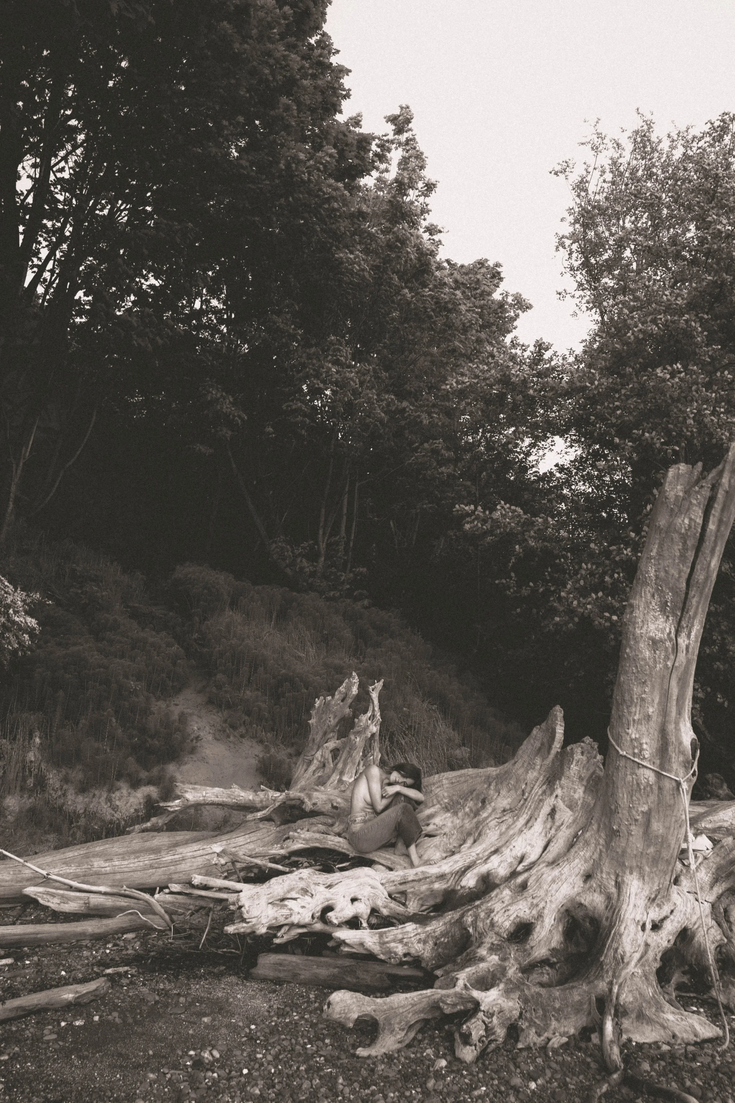 on water, wonder, and the way in