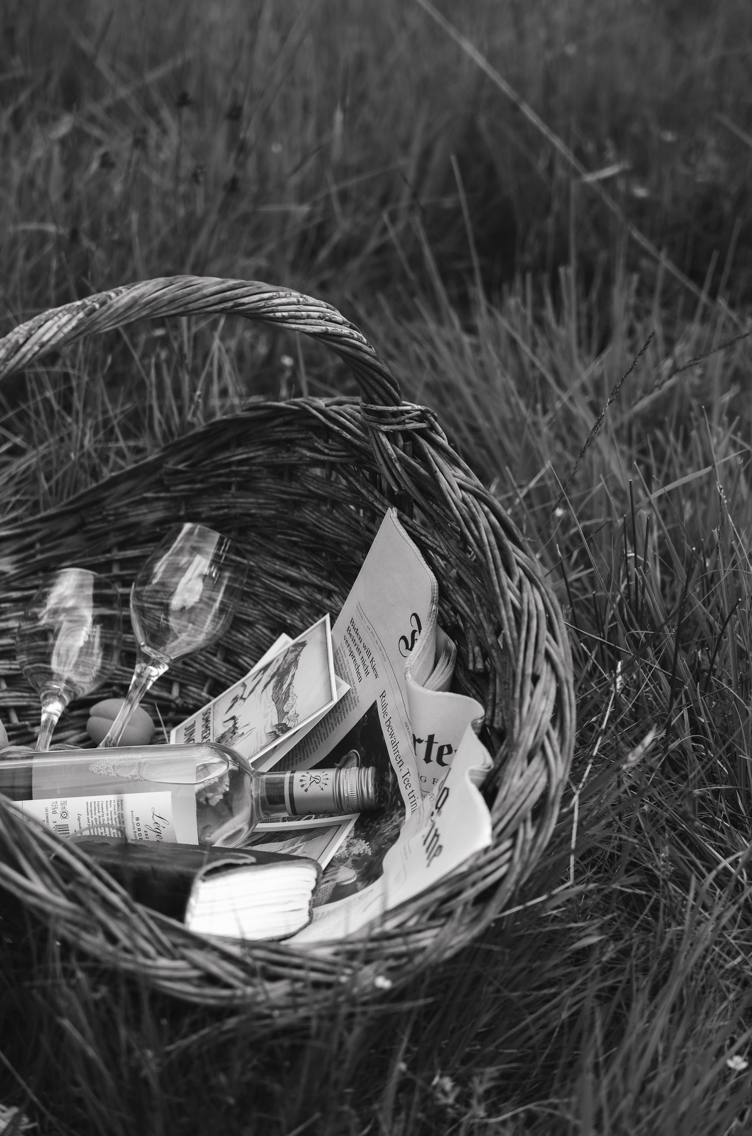 Swiss-Alps-Black-and-White-picnic-couples-session-sarah-fingarson_.jpg