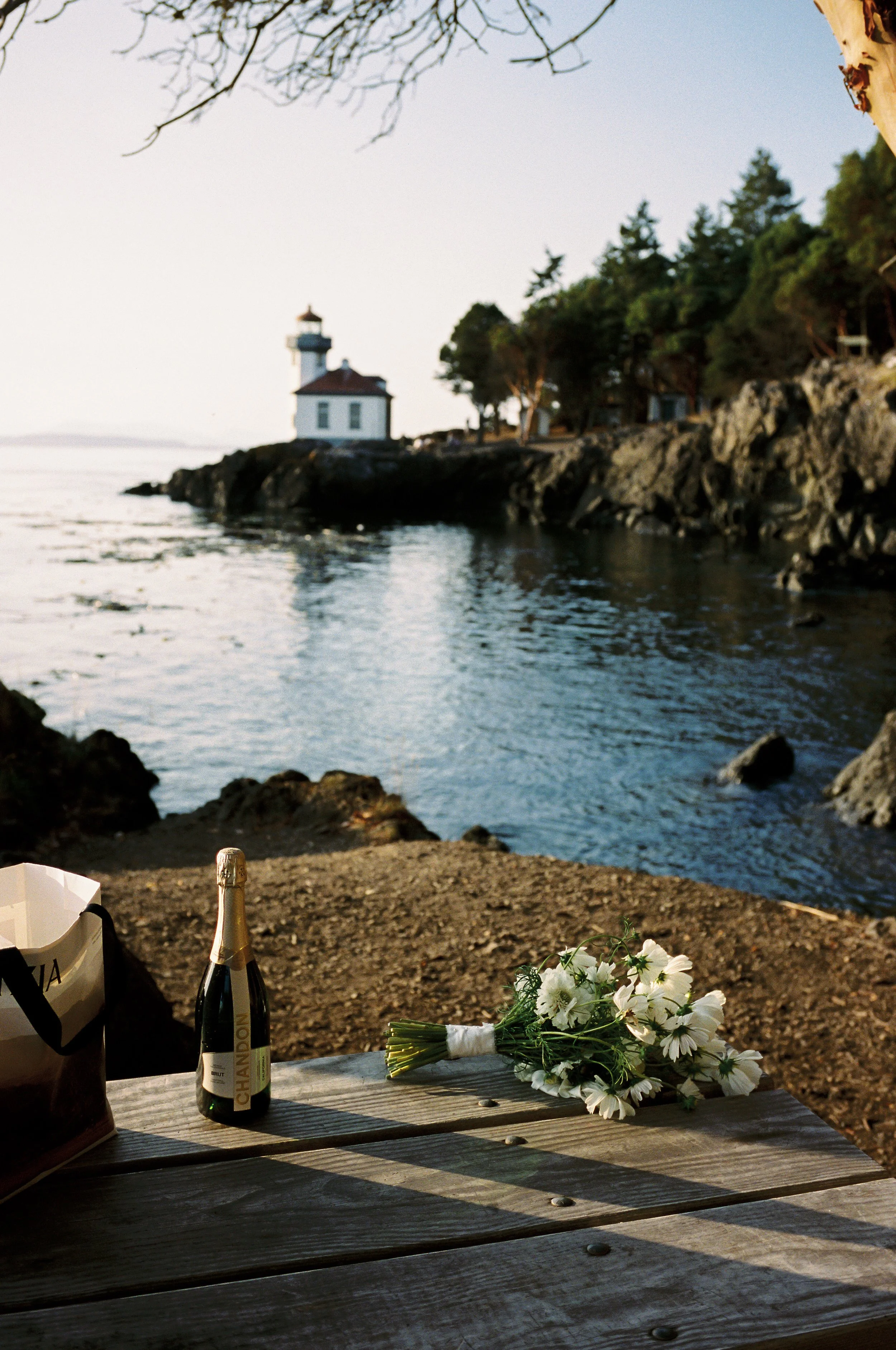 Copy of hannahshea_sarah&andrew-293.jpg