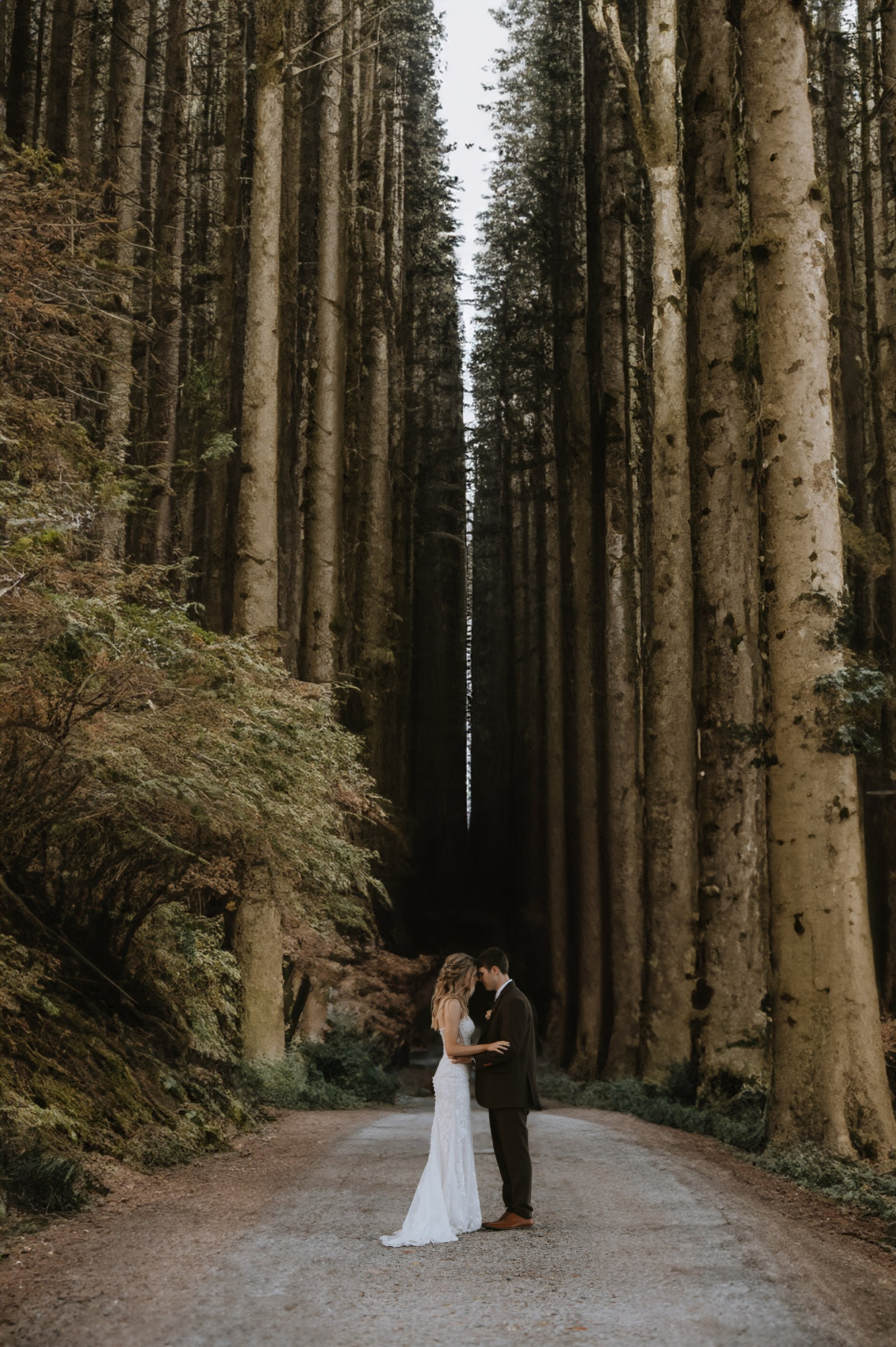 A bride and groom holding hands and touching foreheads in a forest with tall trees surrounding them.
