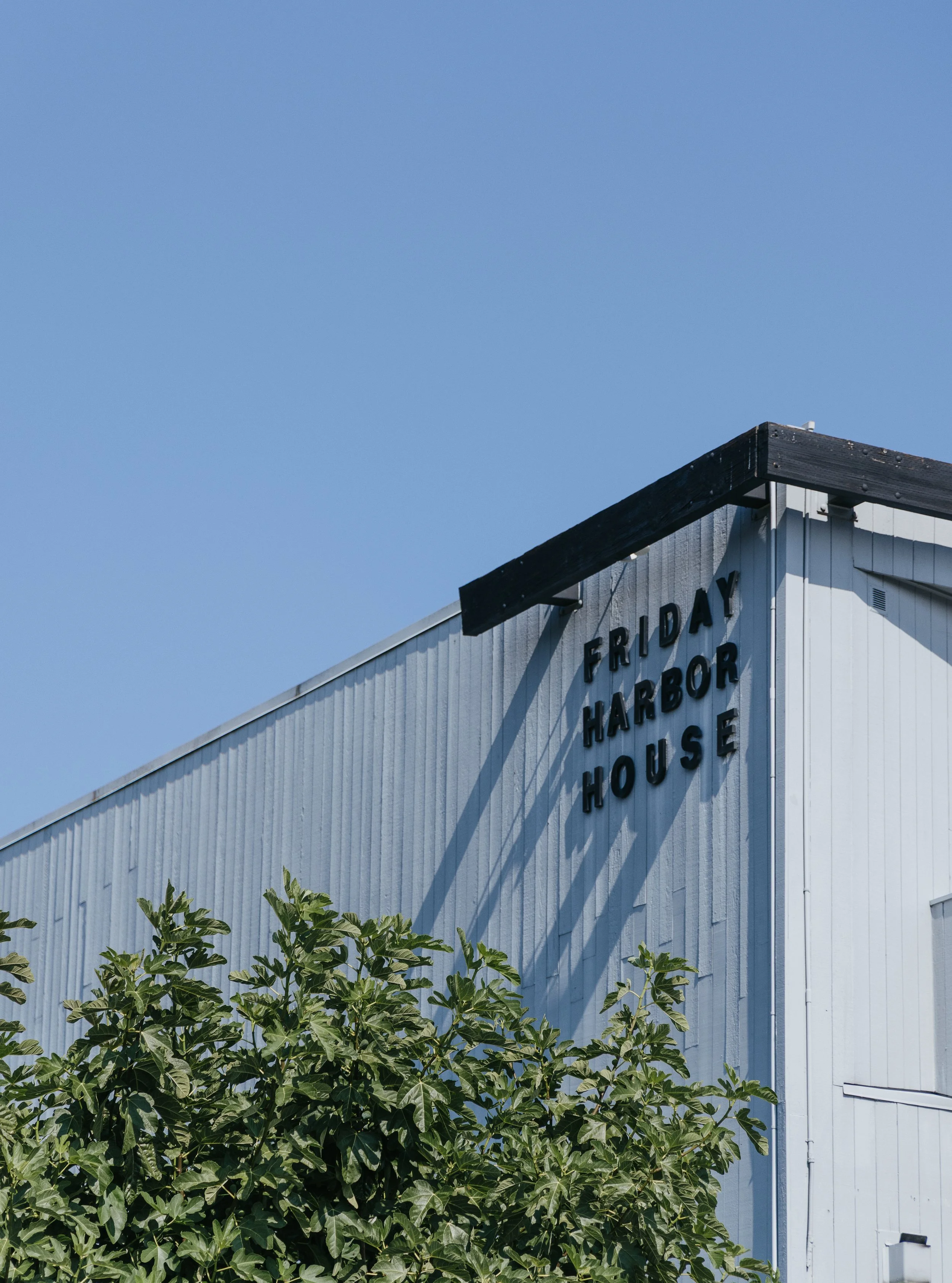 A white building with black lettering that reads 'Friday Harbor House' on the corner, with green foliage in front and a clear blue sky above.