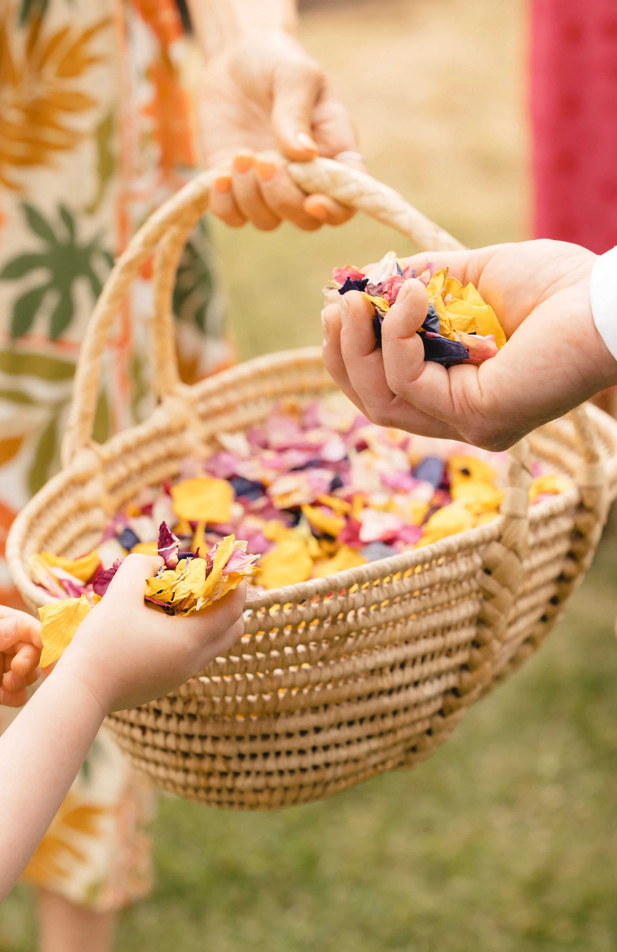 People grabbing colorful flower petals from a basket during an outdoor event.