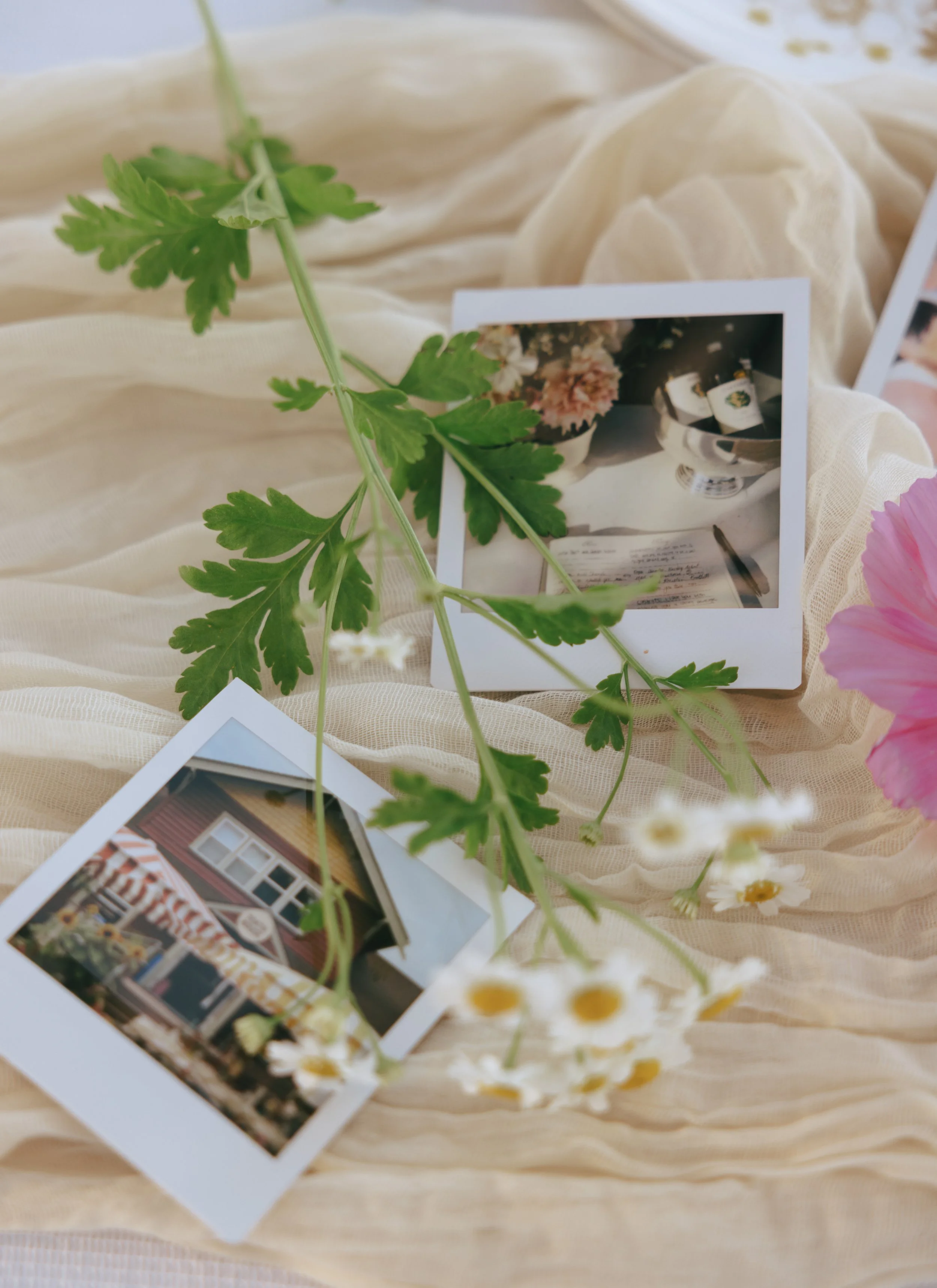 Two Polaroid photos placed on cream fabric with pink and white flowers and green leaves around them. One photo shows a house with a yard, and the other shows a table with a flower arrangement and bottles.