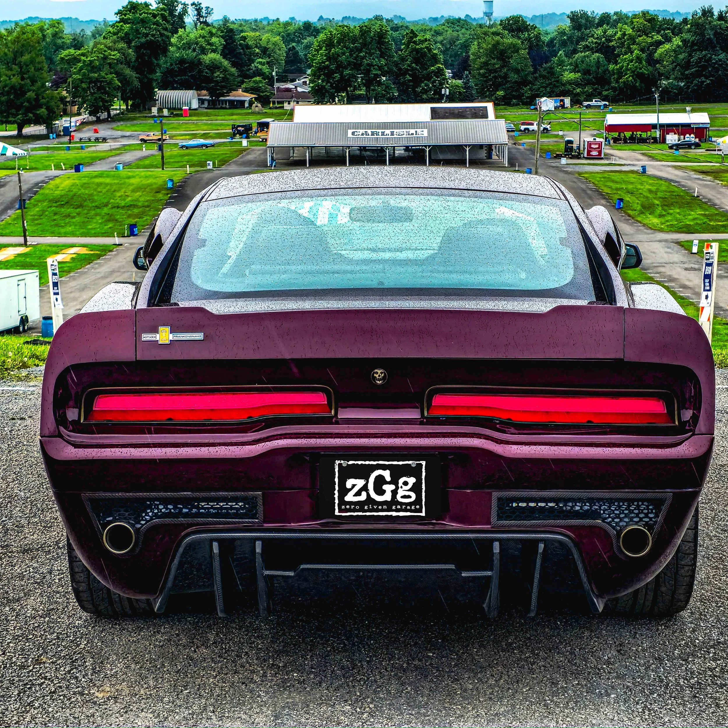 FrankenSnake Vanity Plate zGg Hollywood.jpg
