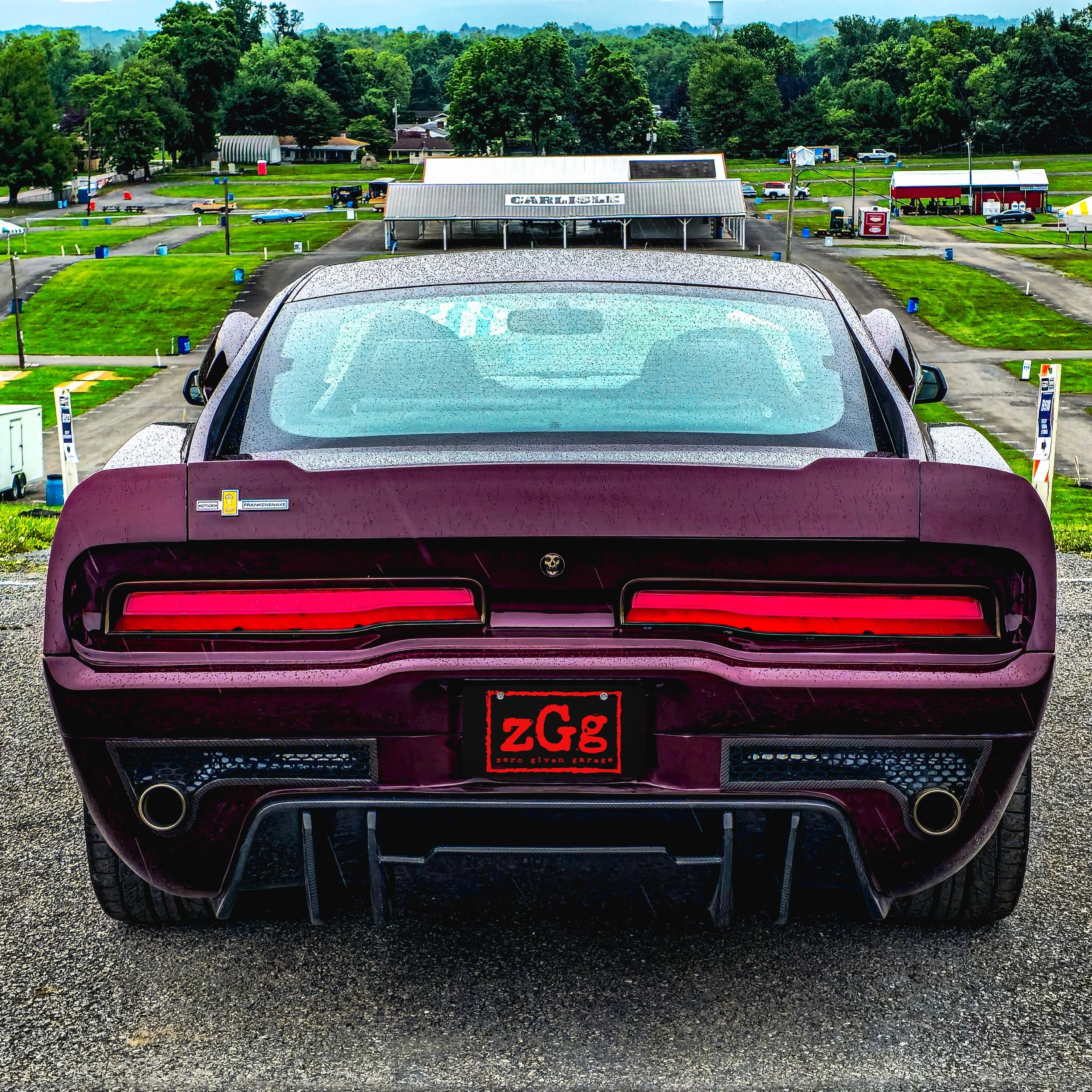FrankenSnake Vanity Plate zGg Wolfpac.jpg