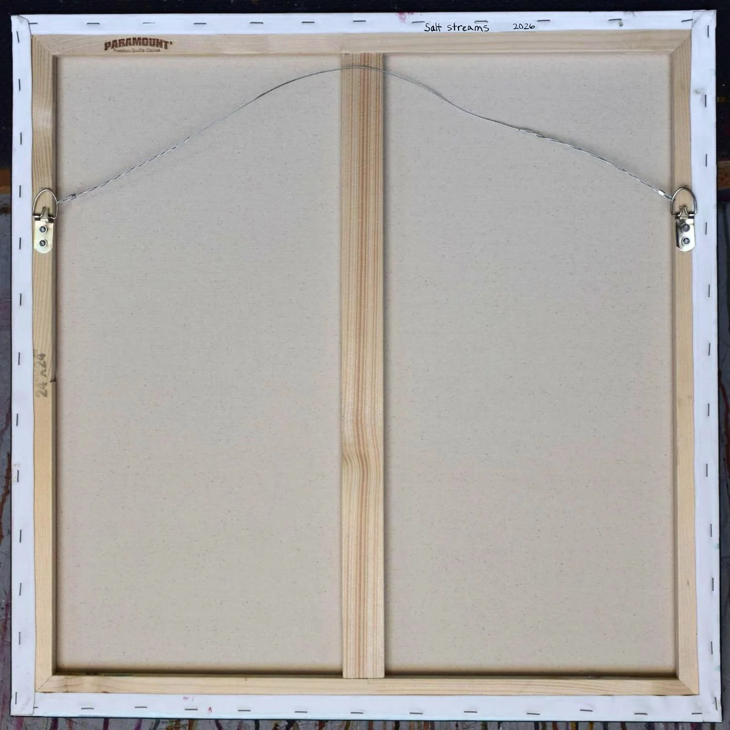 Salt streams back.jpg