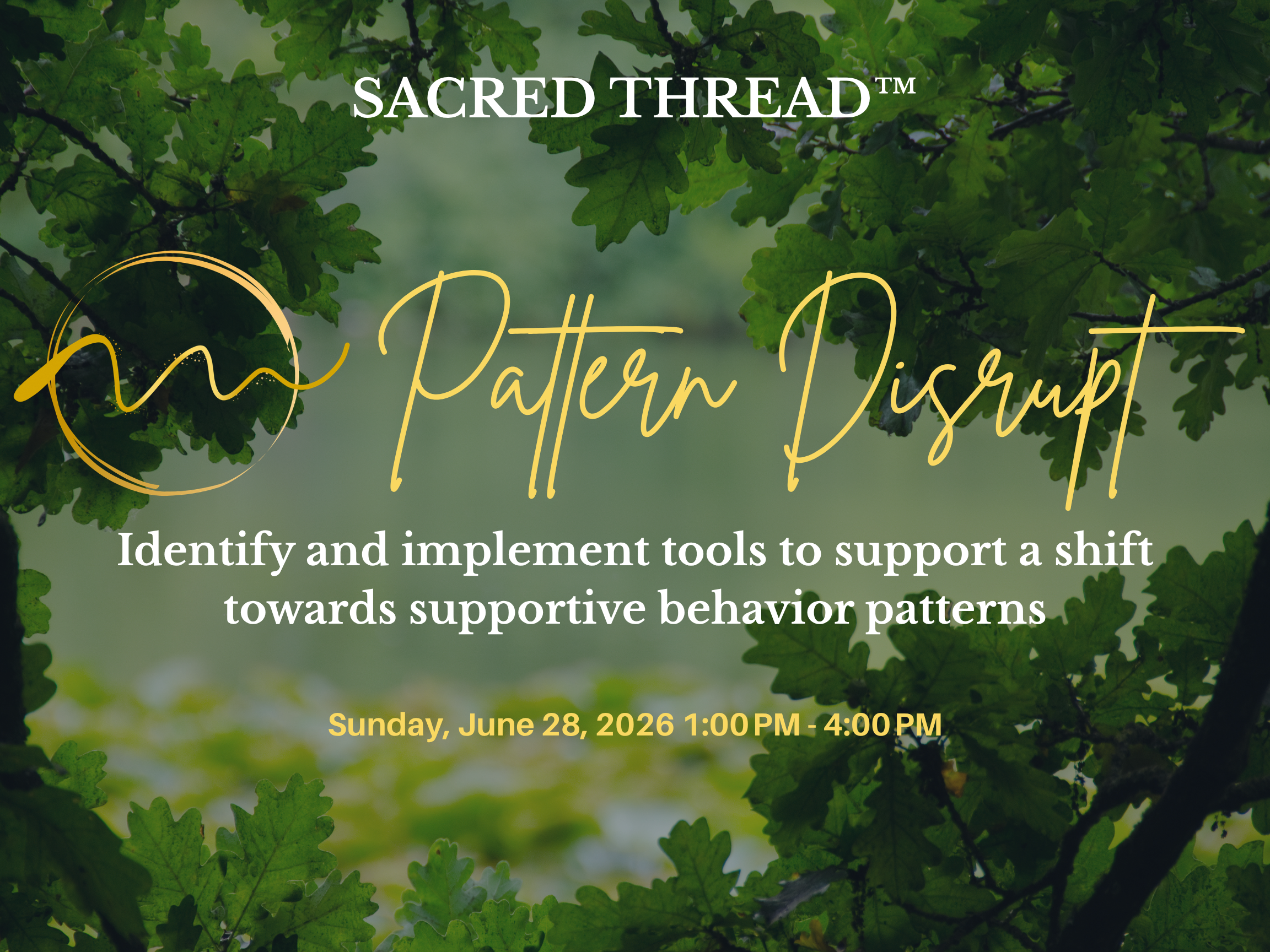 Pattern Disrupt: Identify and implement tools to support a shift towards supportive behavior patterns