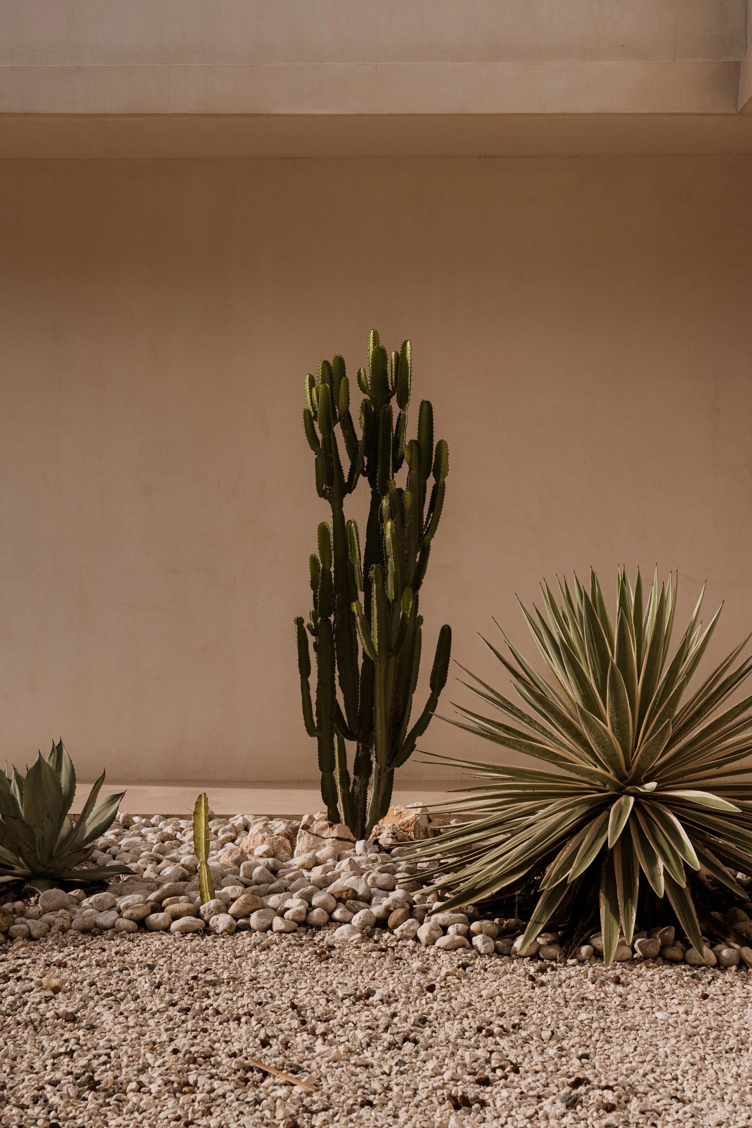 251110 Casa Nueve-34.jpg