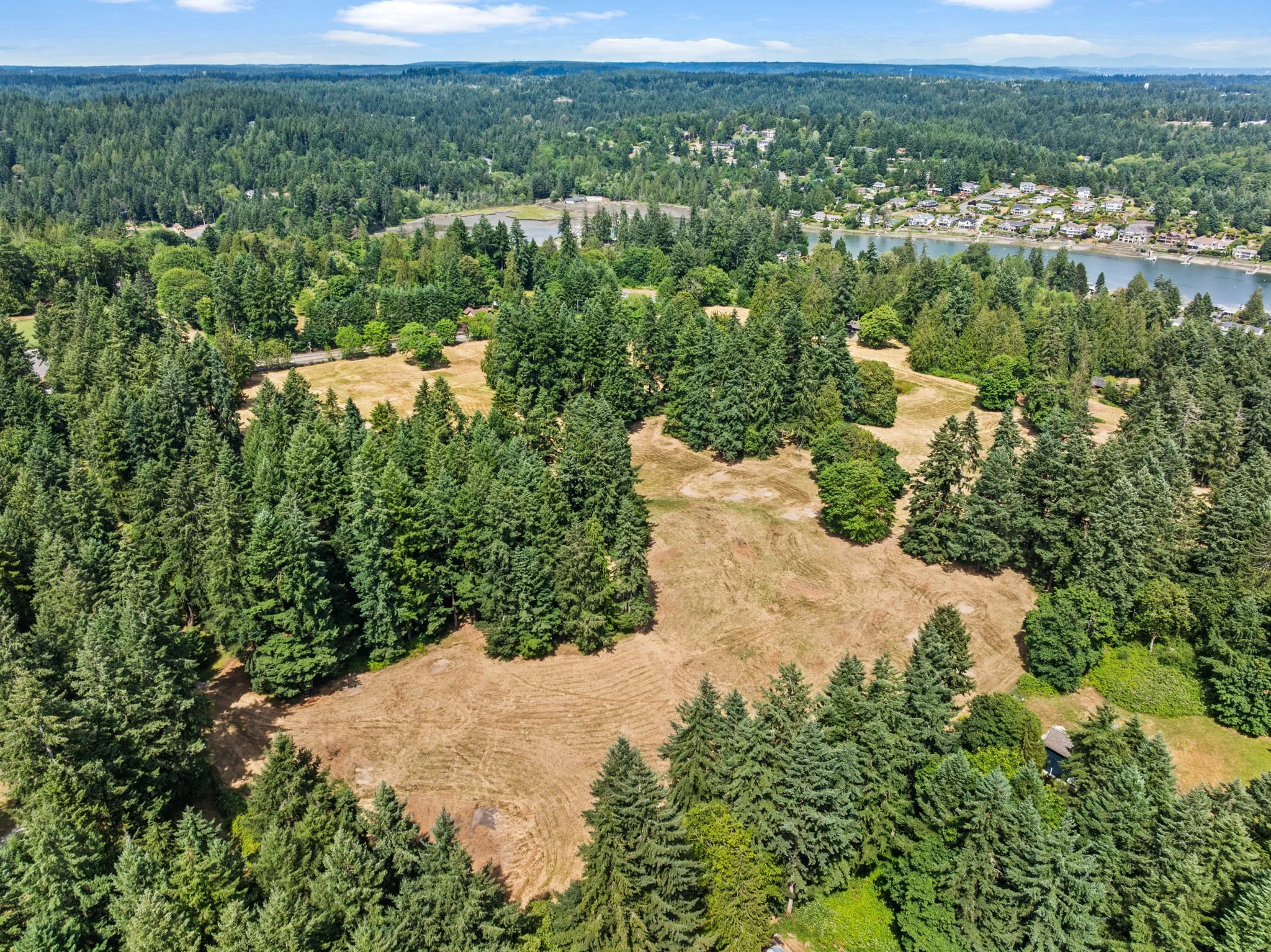 Aerial view of a lush green forest with cleared patches and a distant residential area near a river.