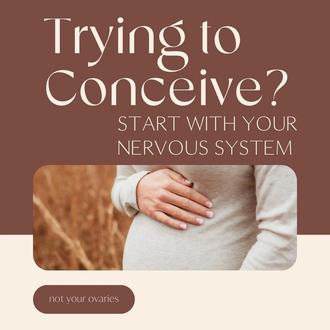 If you've been on the fertility journey focusing on tracking ovulation, hormone levels, and reproductive health &ndash; but still struggling to conceive &ndash; this carousel is for you, mama.

What if the missing piece isn't in your ovaries, but in 