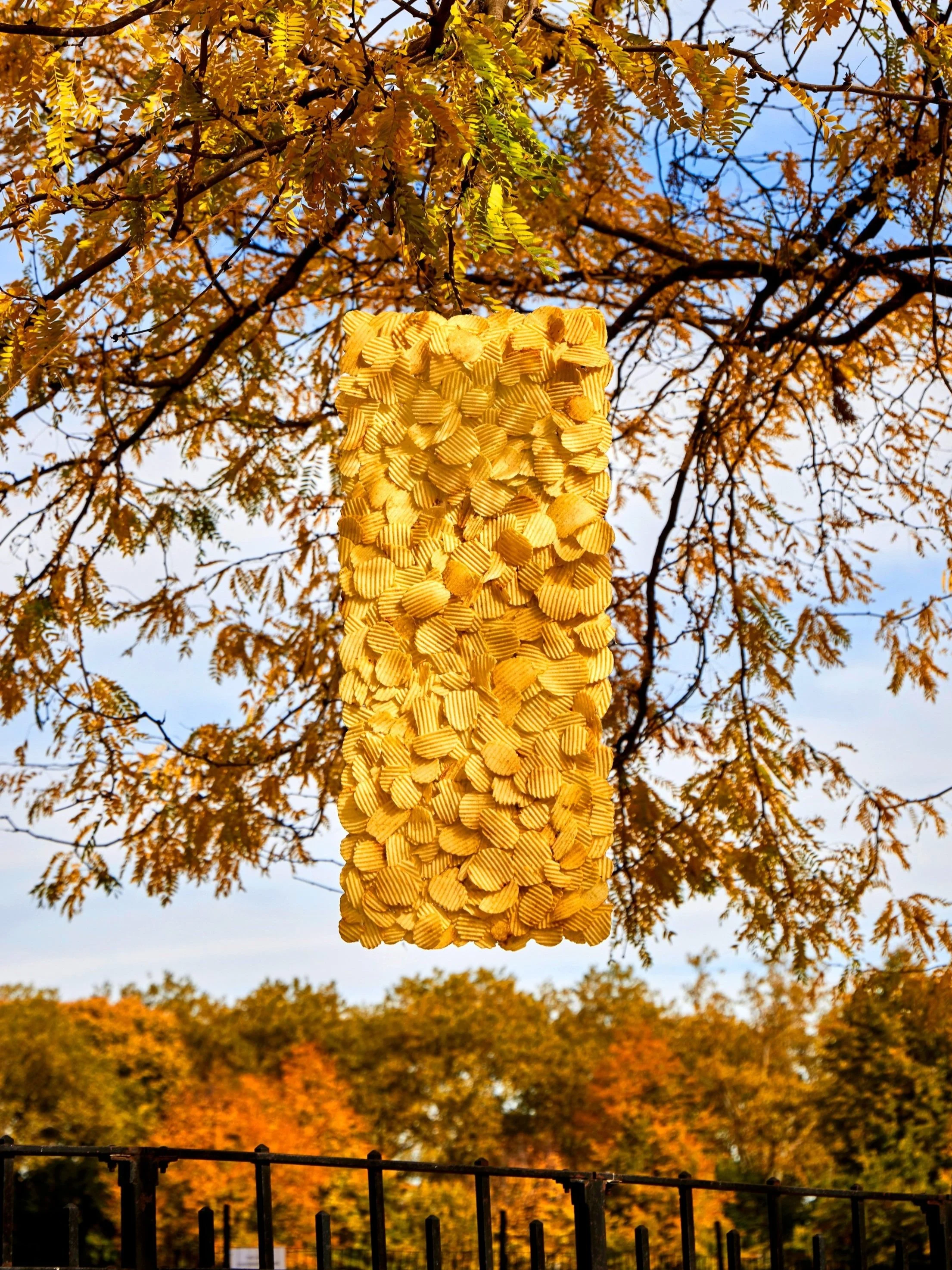 Candy Goldsworthy by Henry Hargreaves & Charlotte Omnès is a series that merges environmental art with urban life, using discarded to-go food items as its medium. Inspired by Andy Goldsworthy.