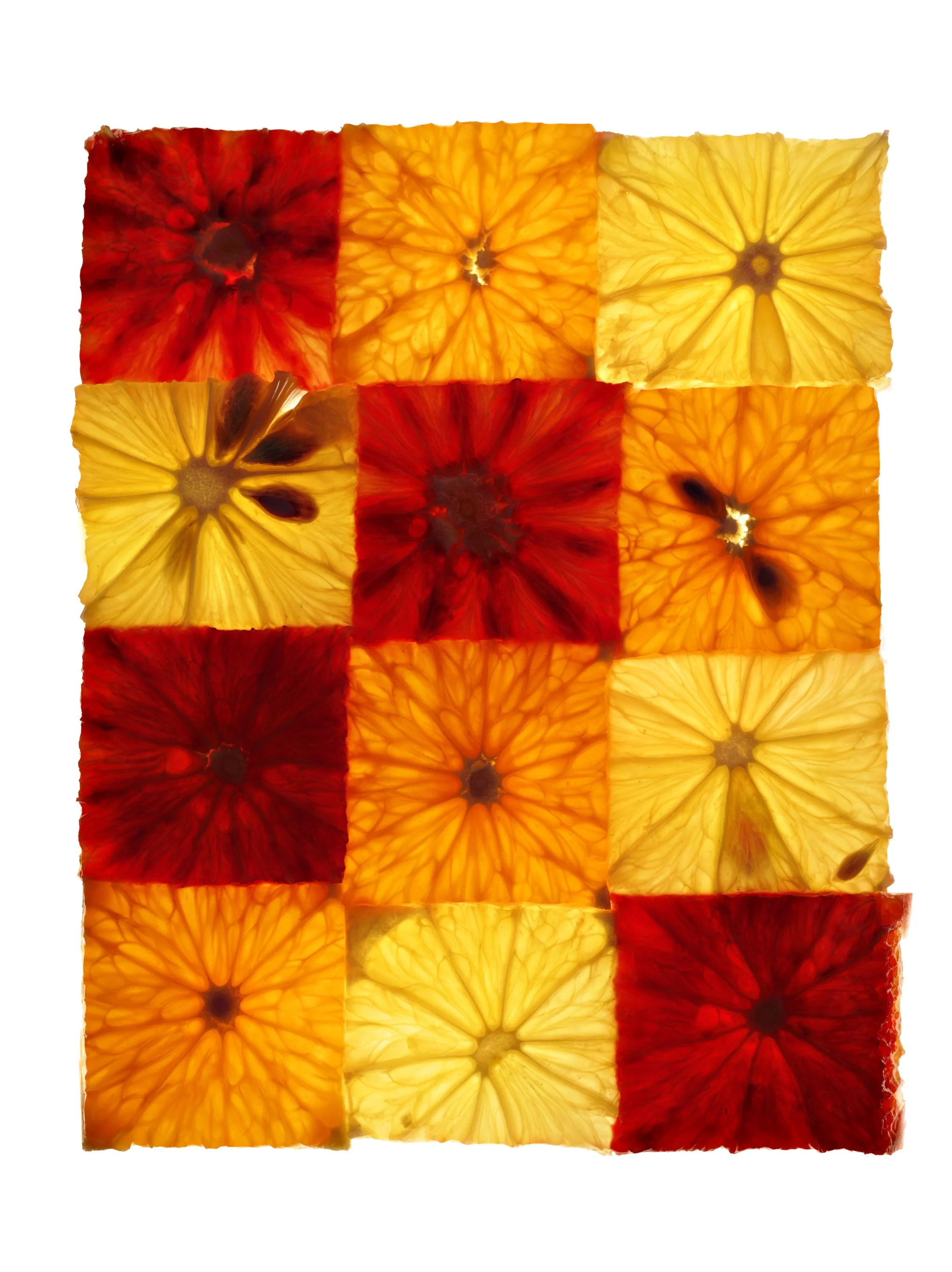 Colorful citrus fruit slices arranged in a grid pattern, featuring yellow, orange, and red shades, illuminated from behind.